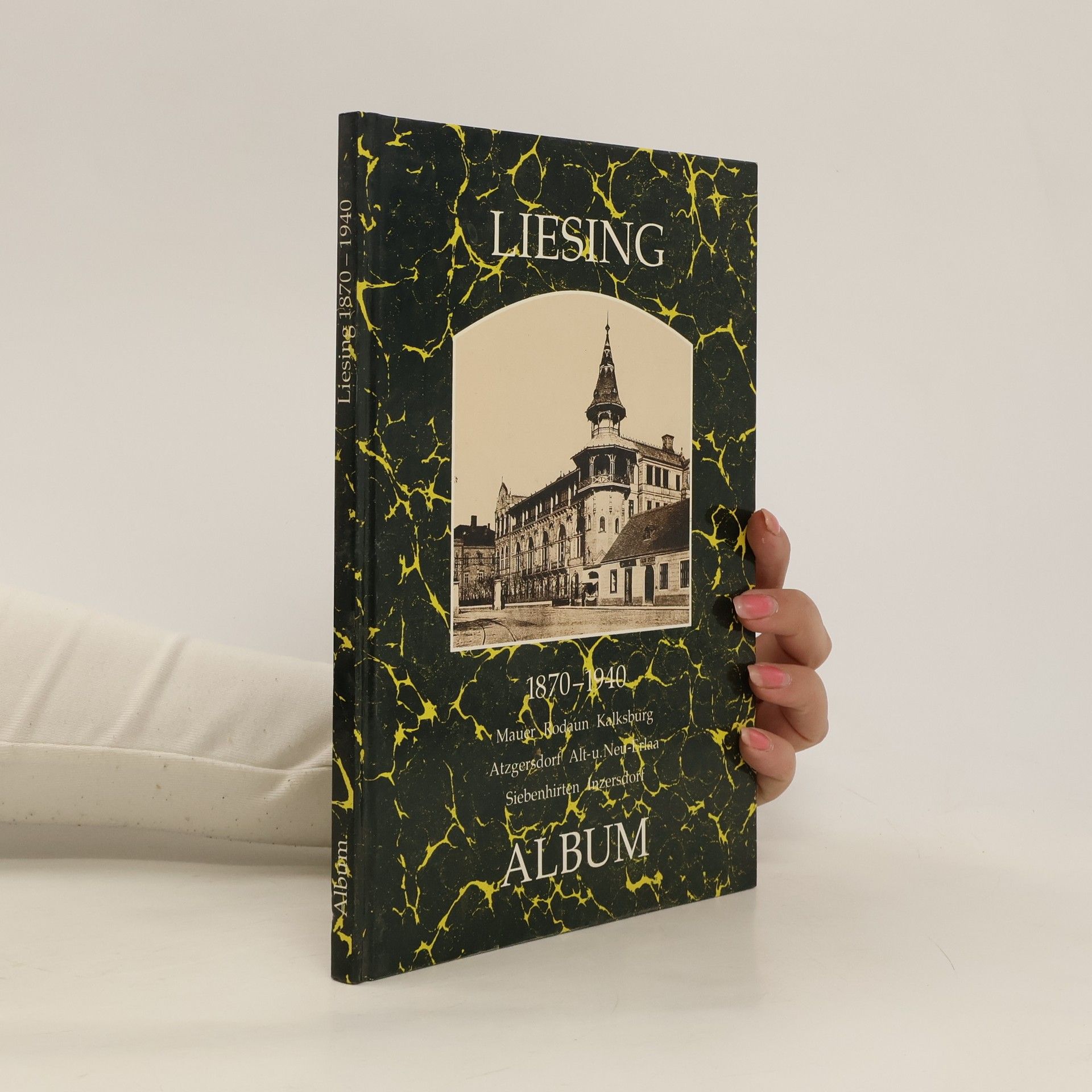 Kolektiv autorů Liesing 1870-1940