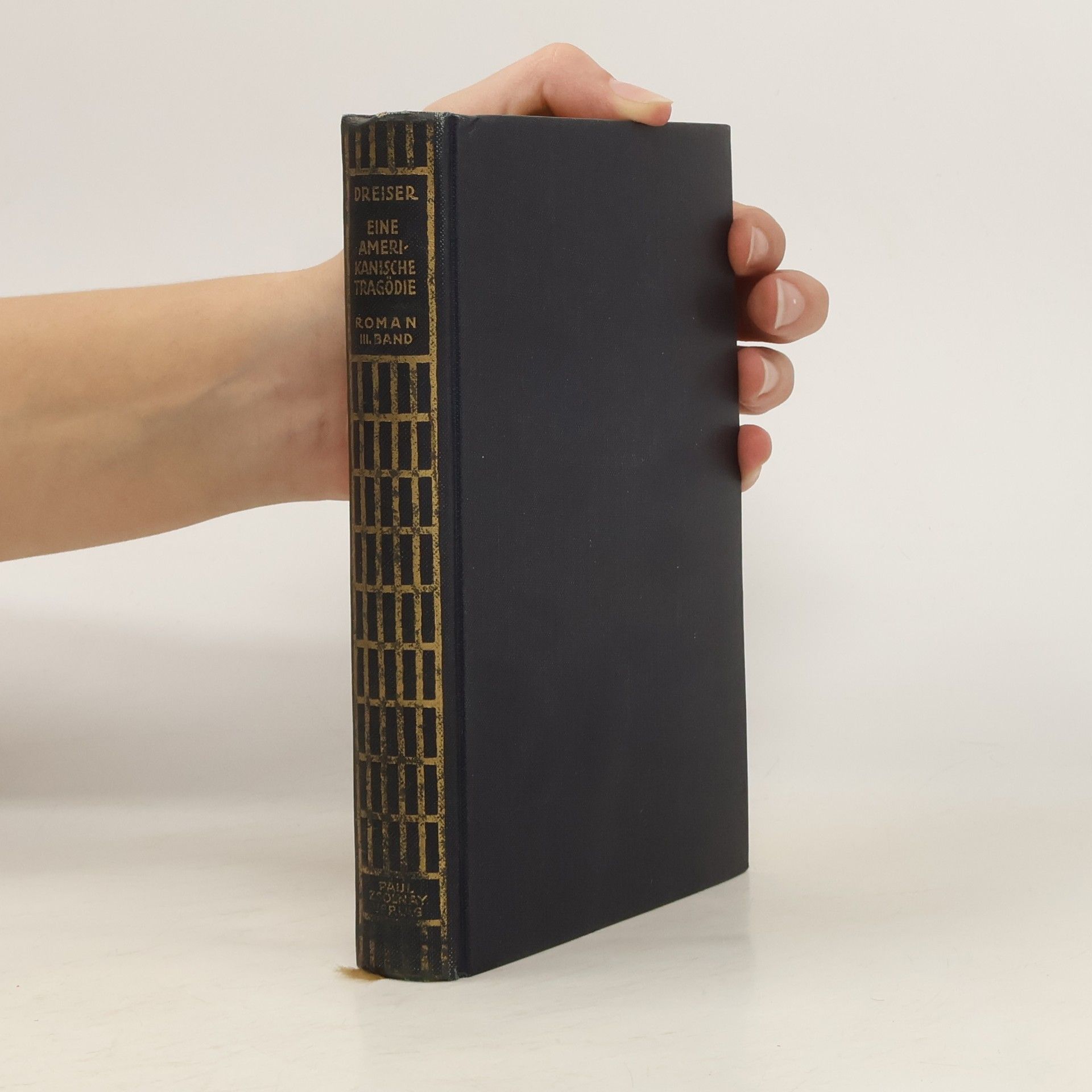 Theodore Dreiser Eine amerikanische Tragödie II.