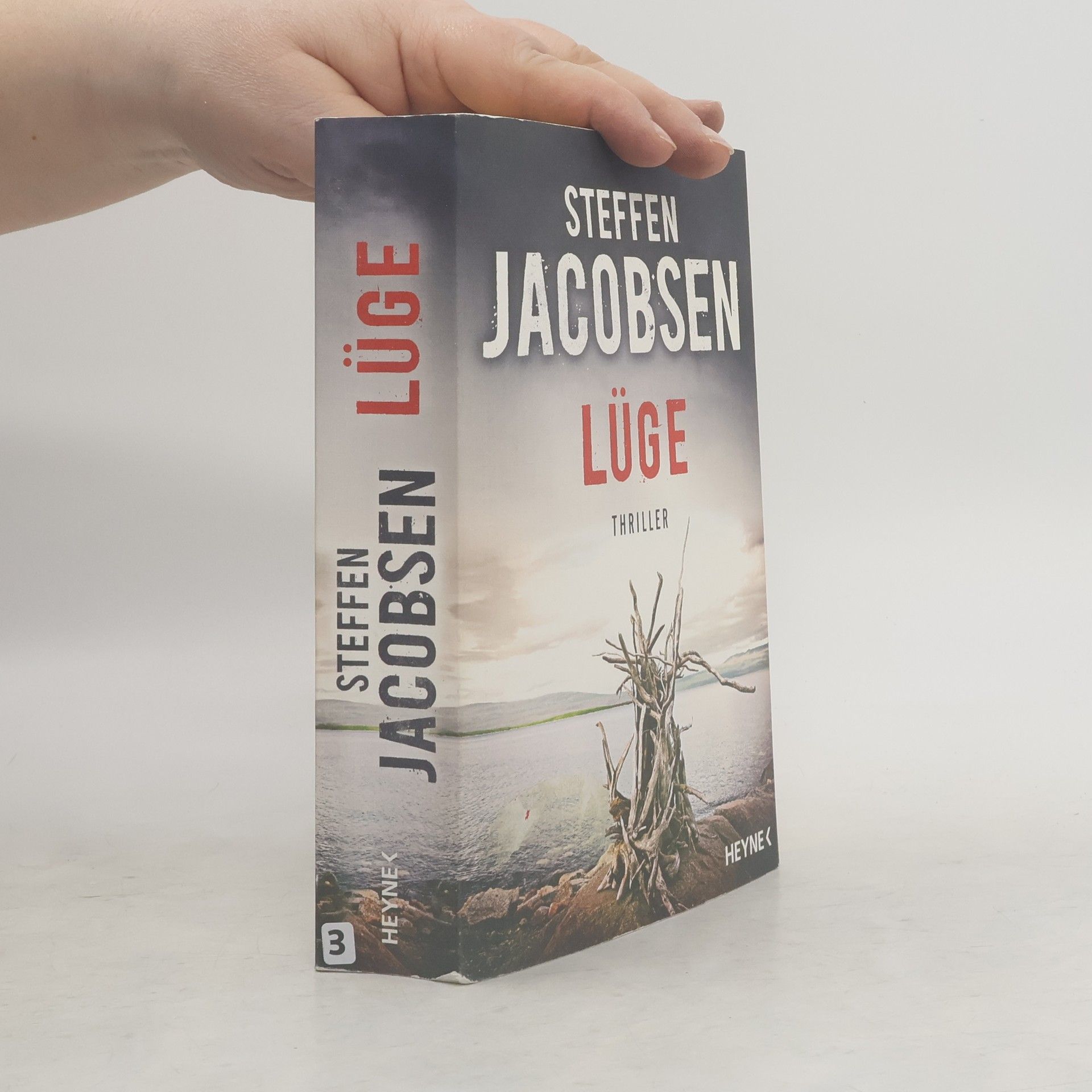 Steffen Jacobsen Lüge