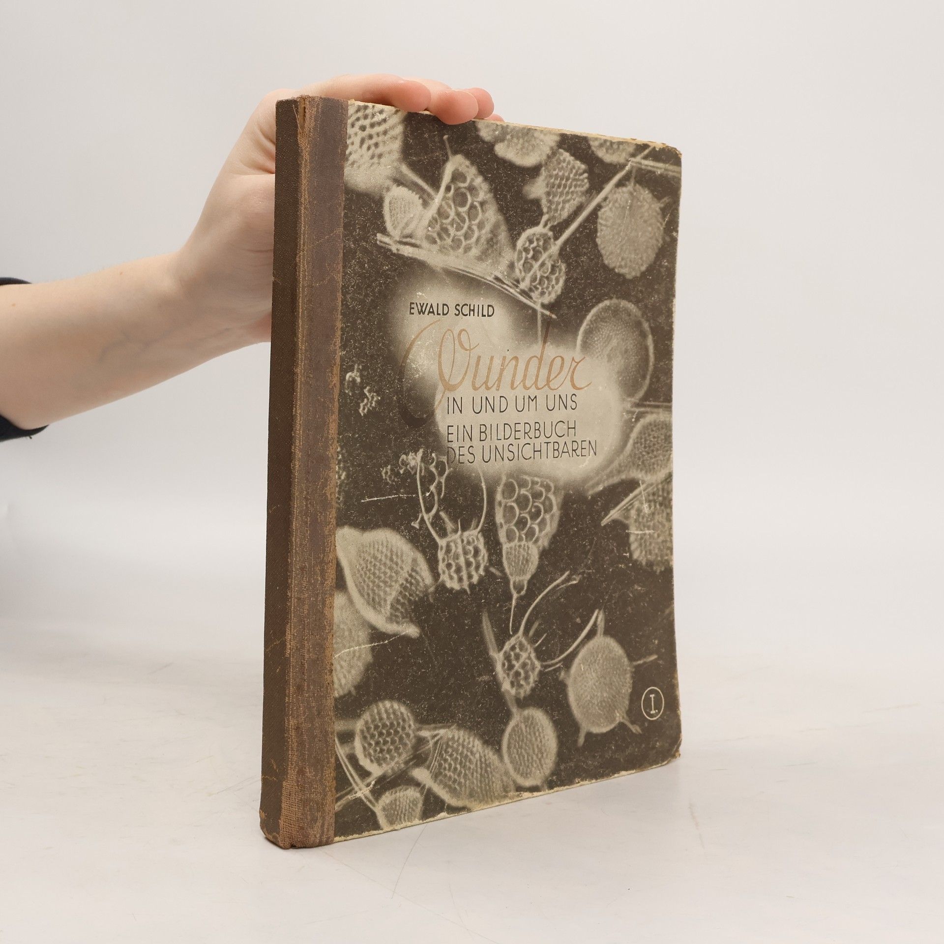 Ewald Schild Wunder in und um uns ein Bilderbuch des Unsichtbaren