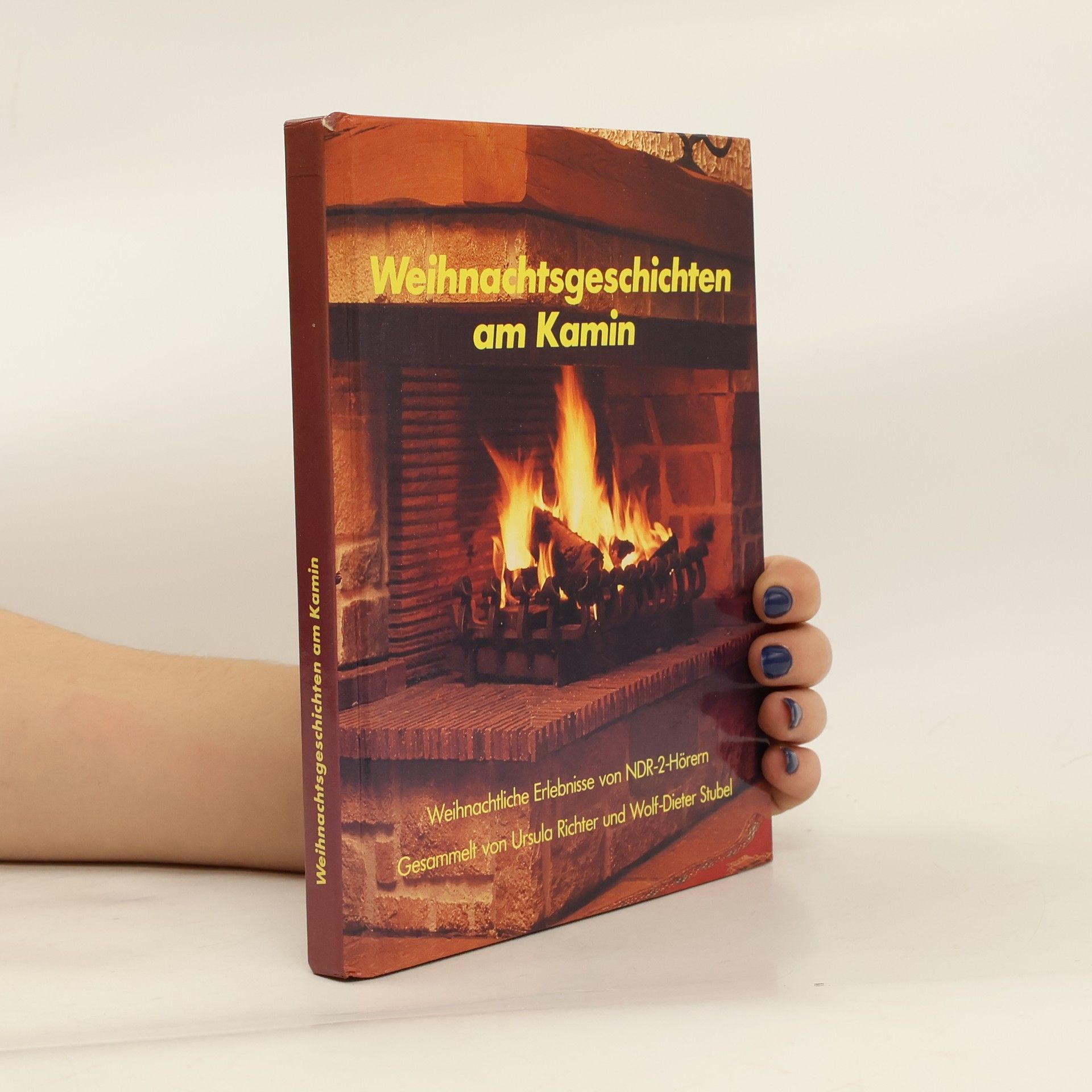 Collectif d'auteurs Weihnachtsgeschichten am Kamin