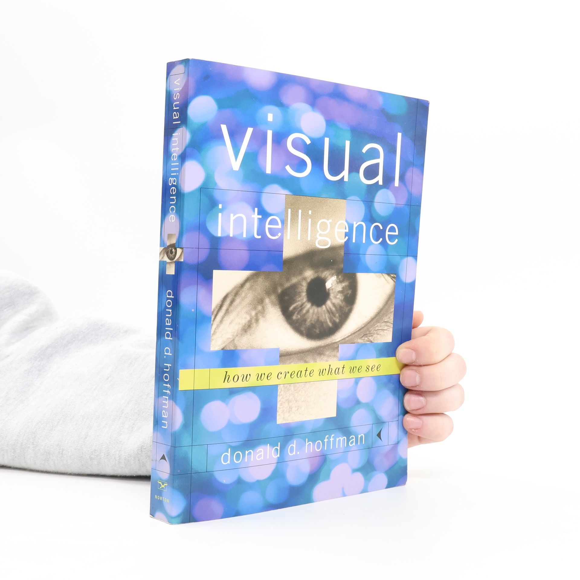 Donald Hoffman Visual Intellingence