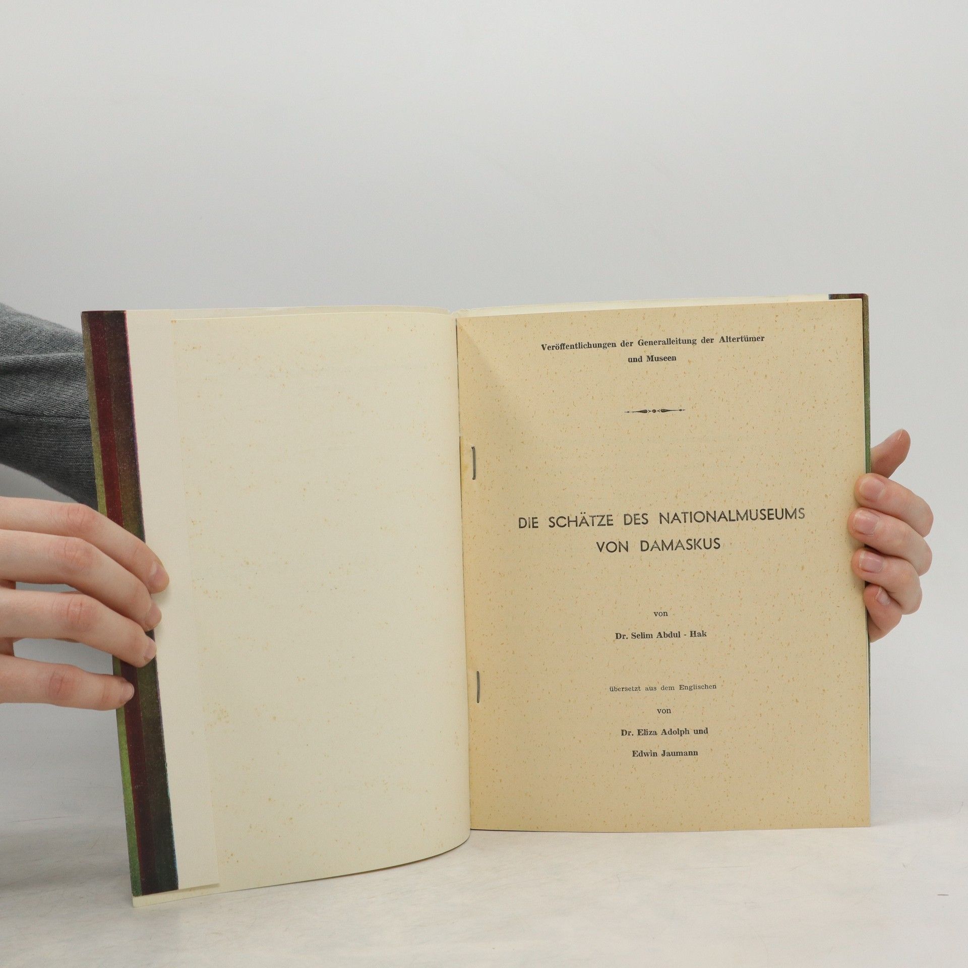 Selim Abdul Hak Die Schätze des Nationalmusseums von Damaskus