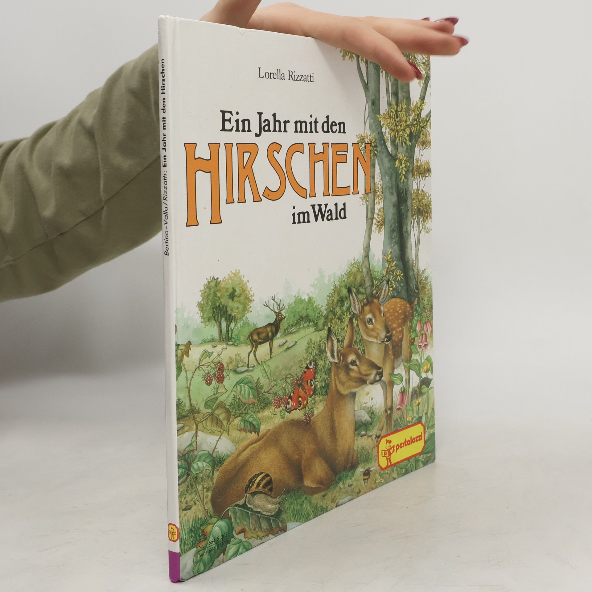 Andre e. Bertino Ein Jahr mit den Hirschen im Wald