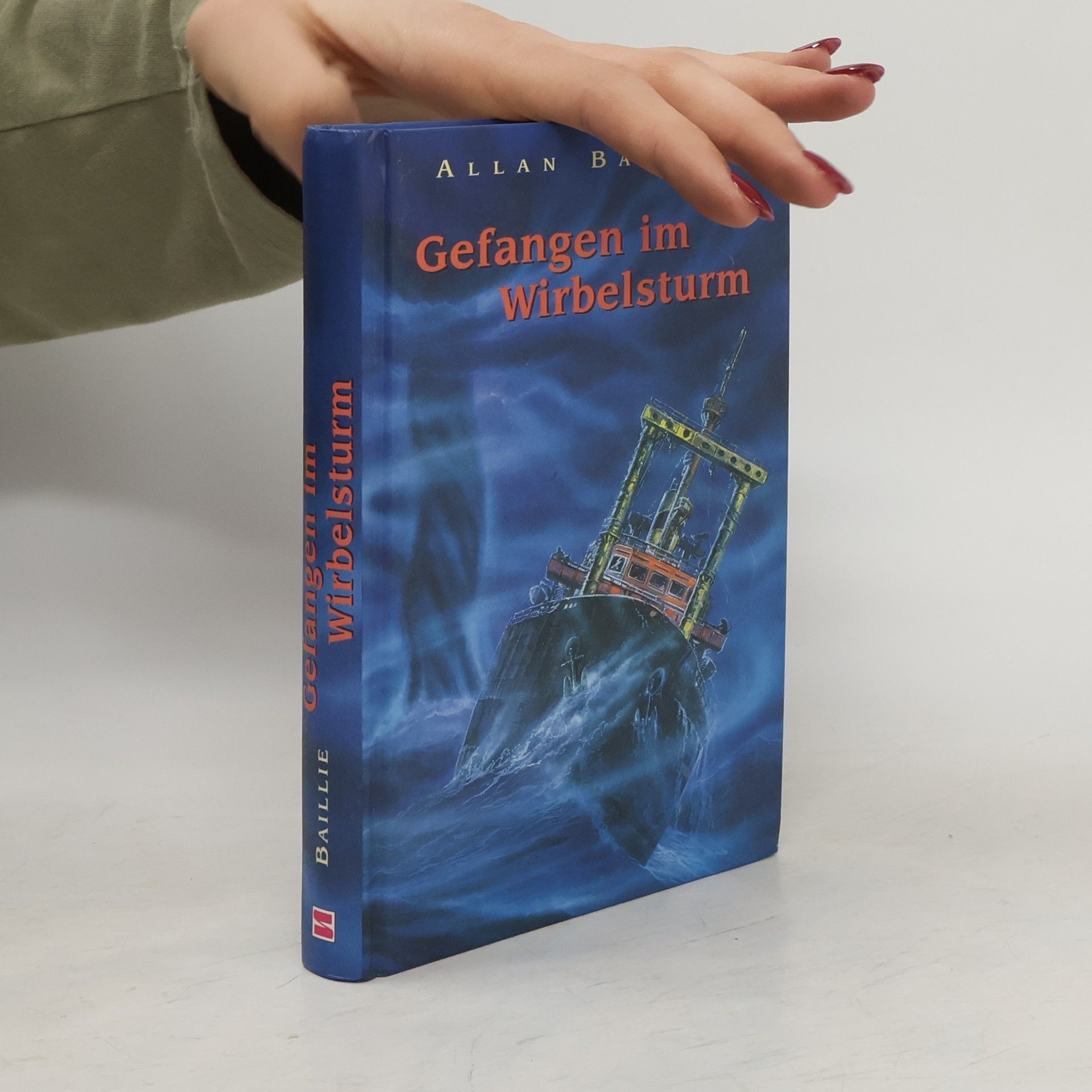 Allan Baillie Gefangen im Wirbelsturm