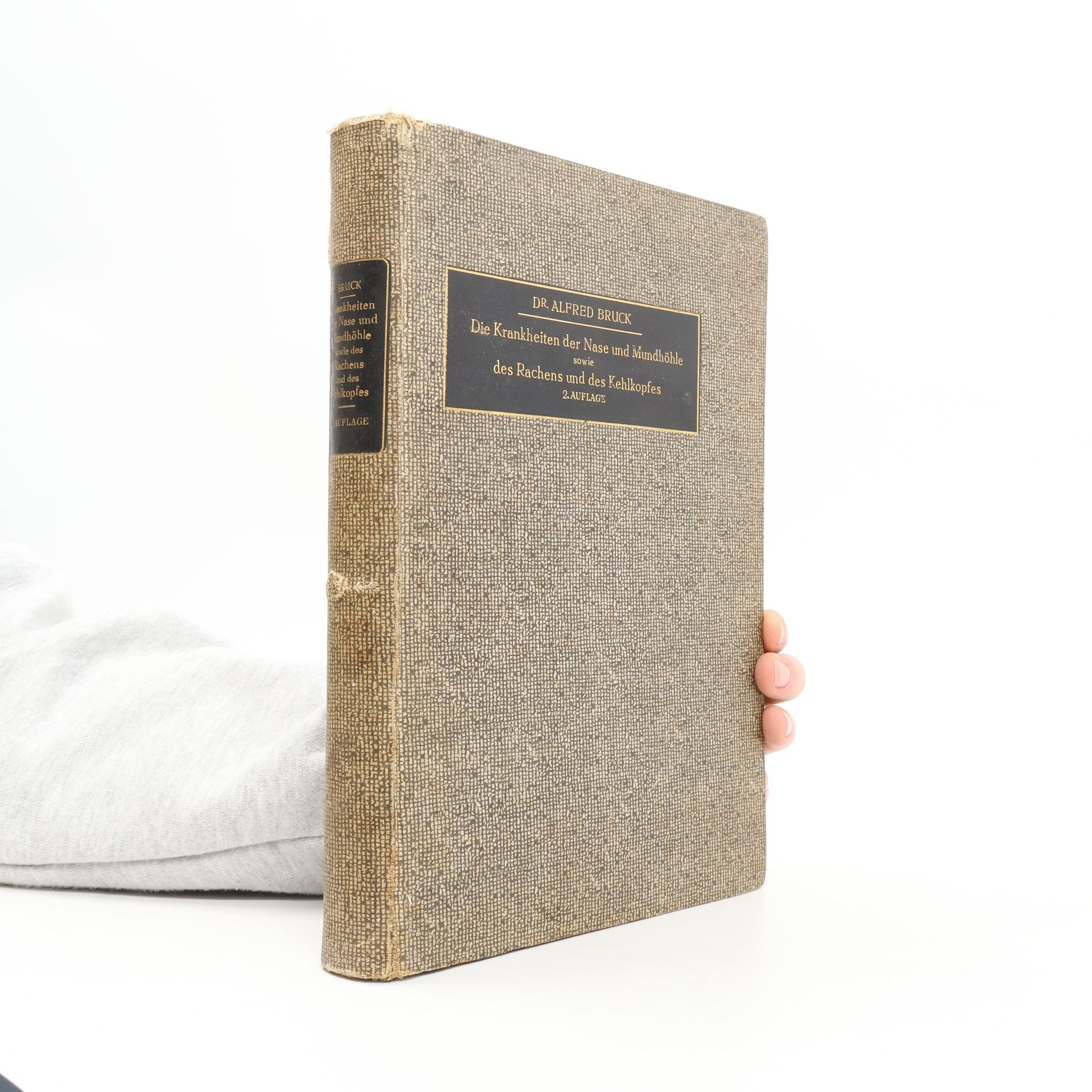 Alfred Bruck Die Krankheiten der Nase und Mundhöle sowie des Rachens und des Kehlkopfes