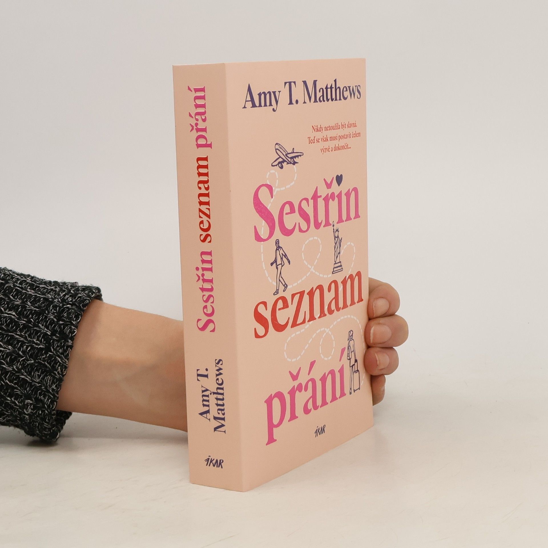 Amy Matthews Sestřin seznam přání