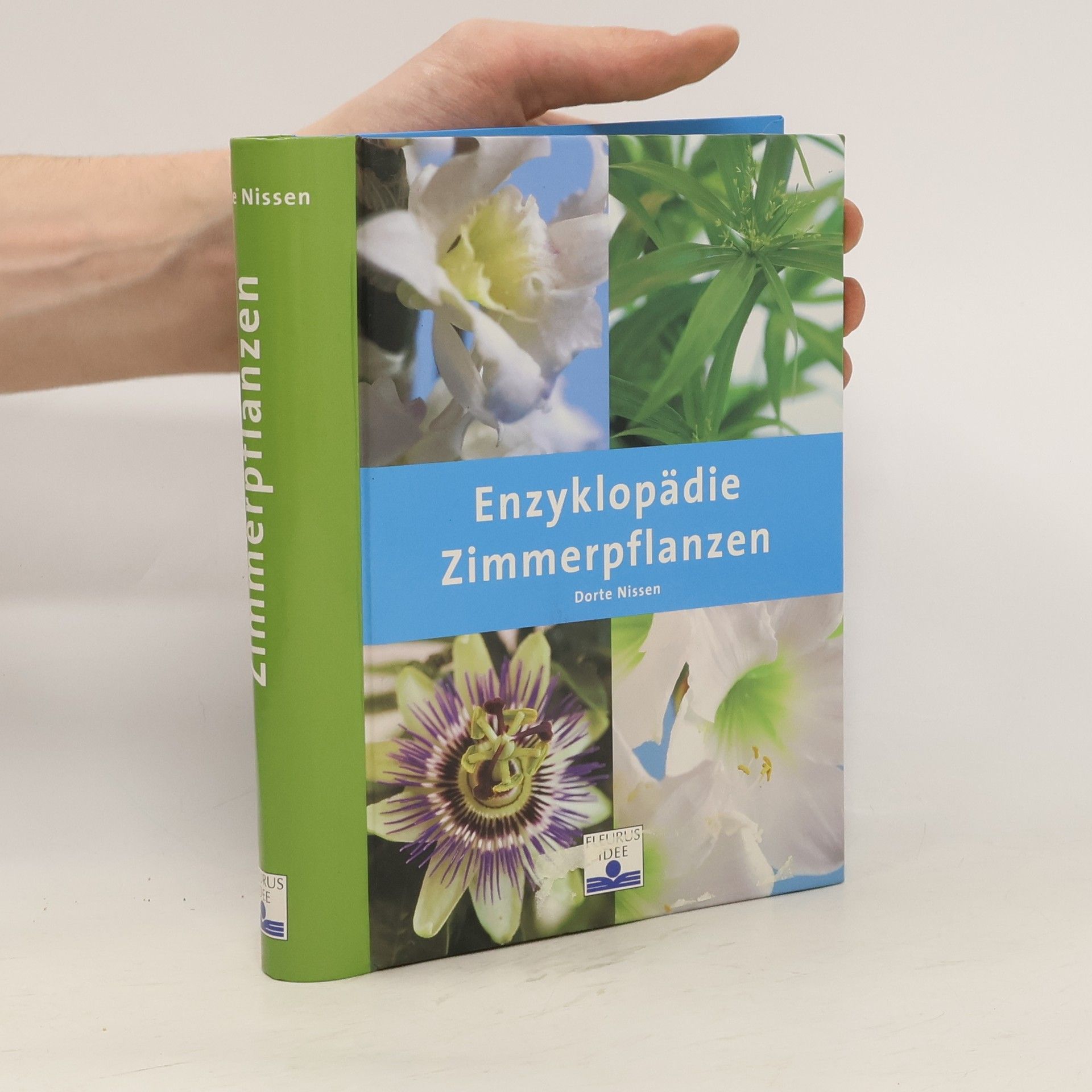Dorte Nissen Zimmerpflanzen