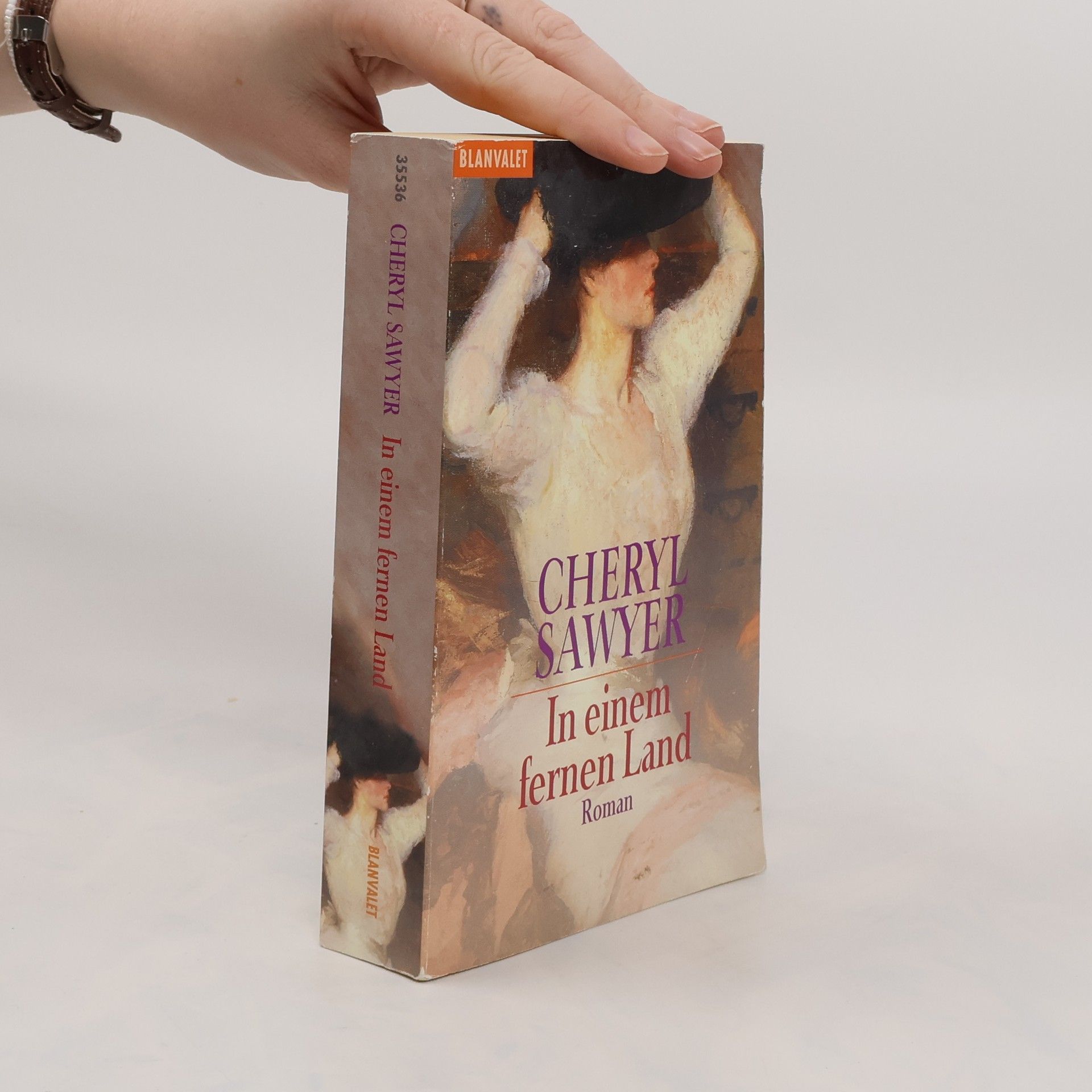 Cheryl Sawyer In einem fernen Land