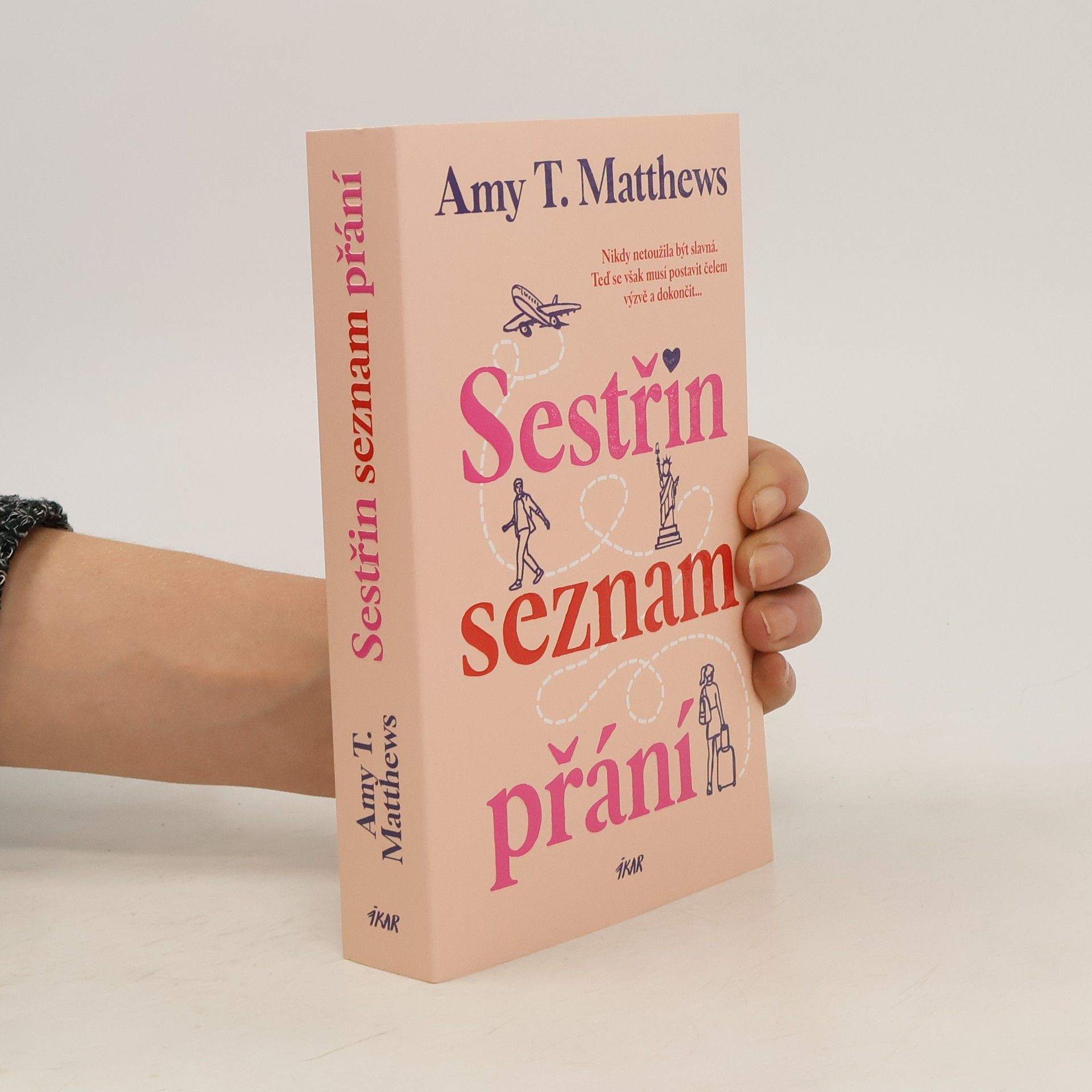 Amy Matthews Sestřin seznam přání