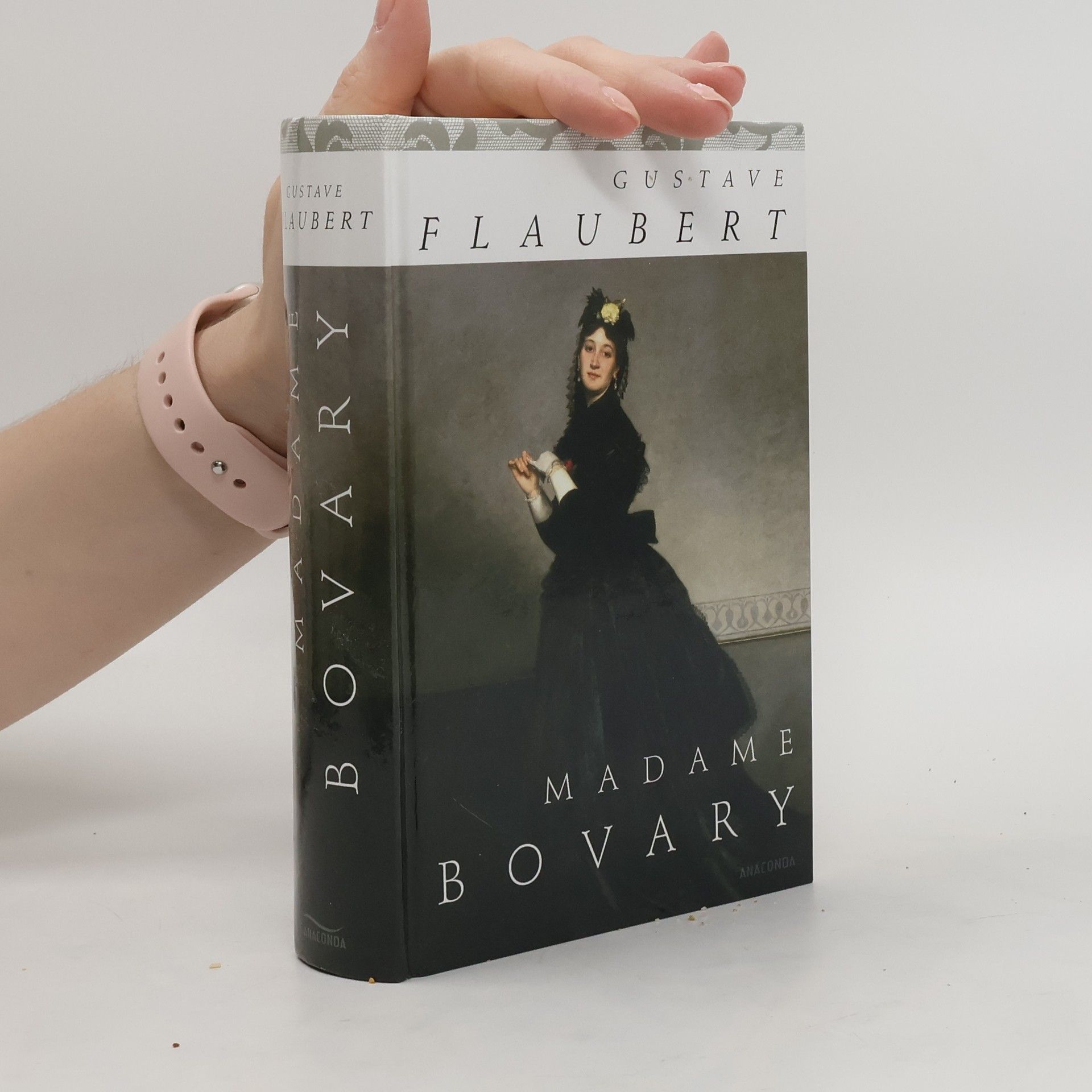 Gustave Flaubert Madame Bovary