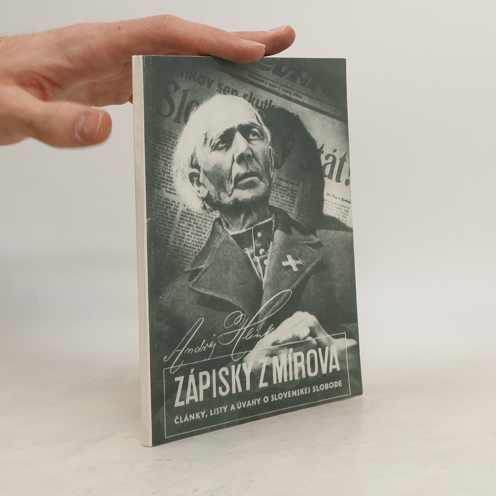 Andrej Hlinka Zápisky z Mírova