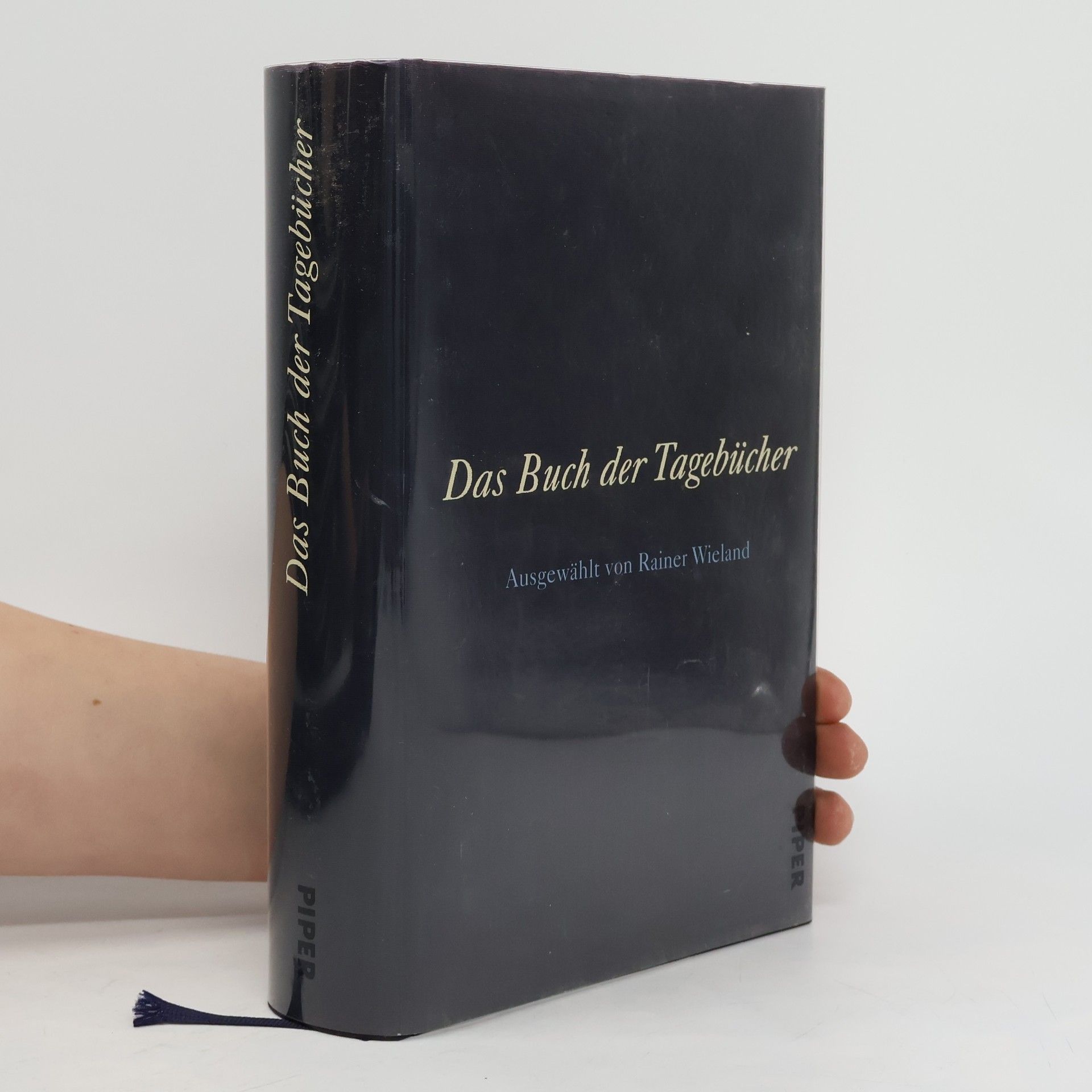 Rainer Wieland Das Buch der Tagebücher