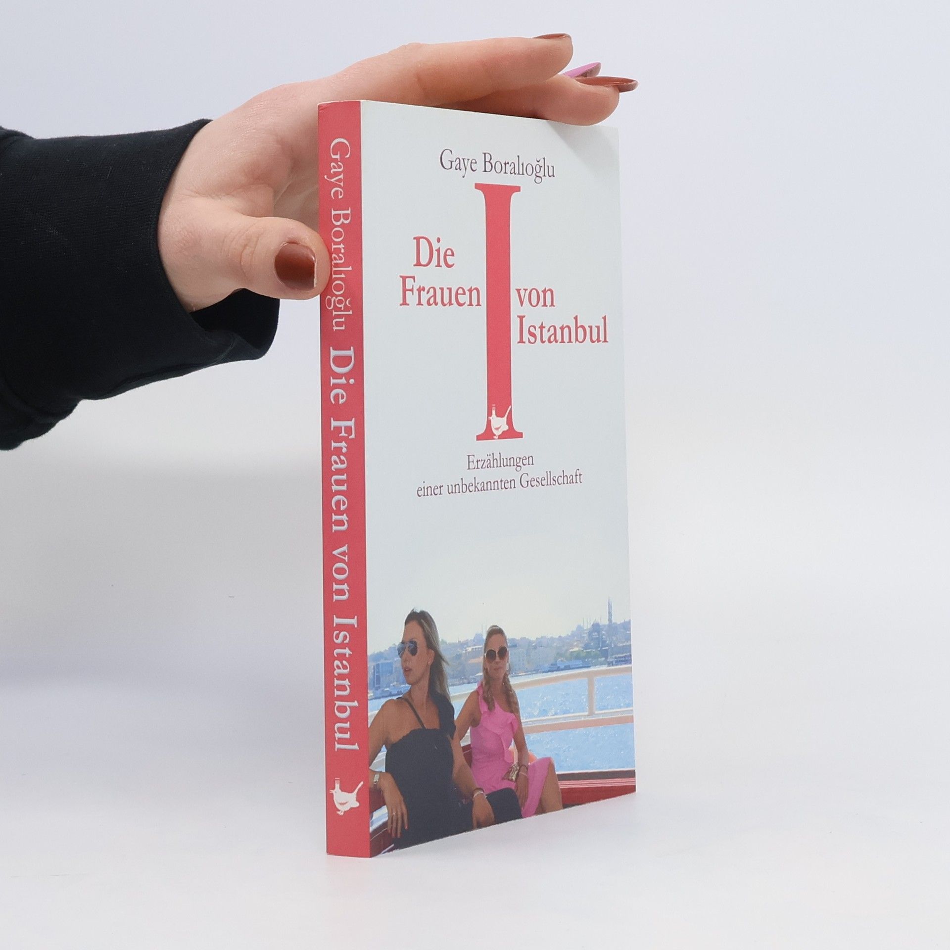 Gaye Boralıog lu Die Frauen von Istanbul
