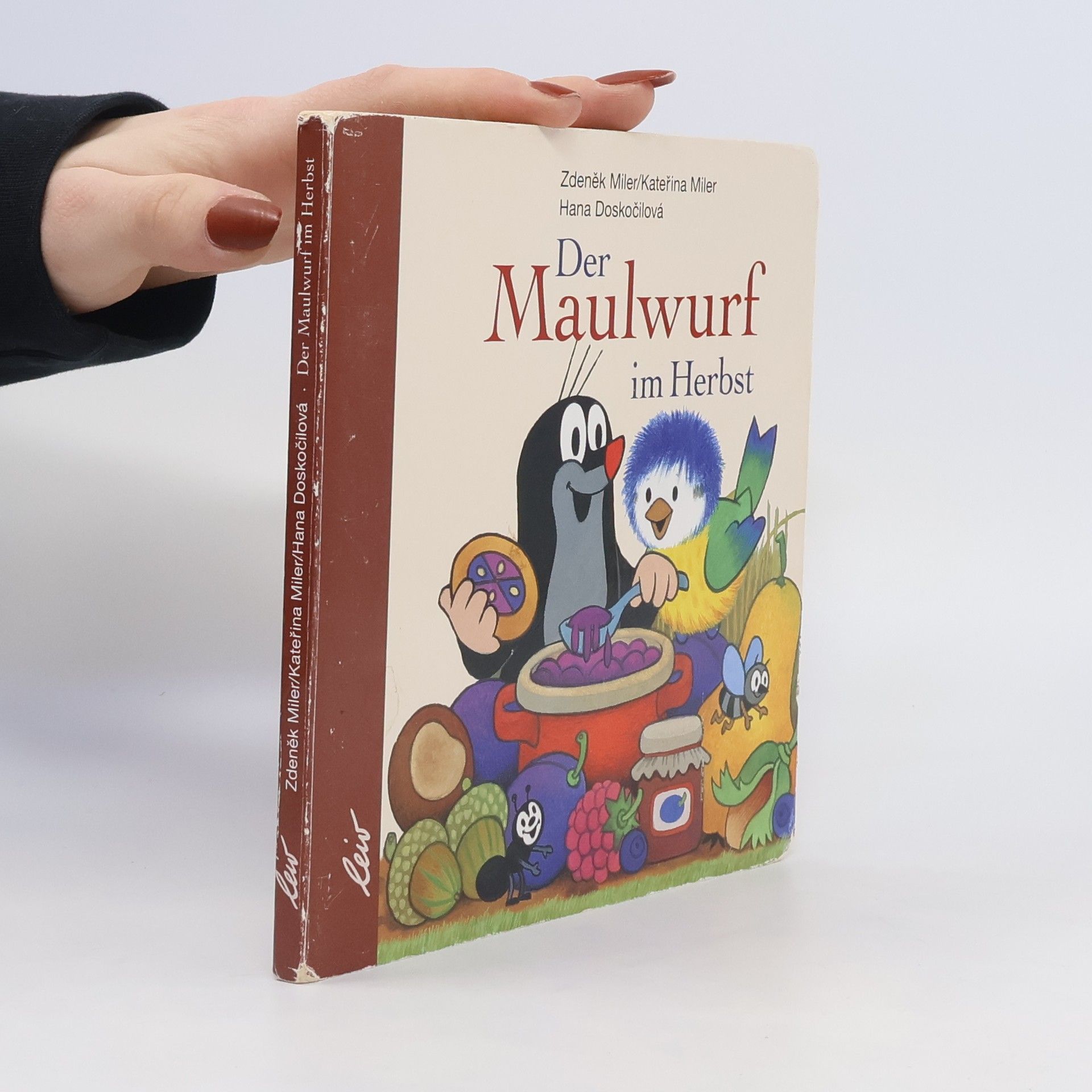 Hana Doskočilová Der Maulwurf im Herbst