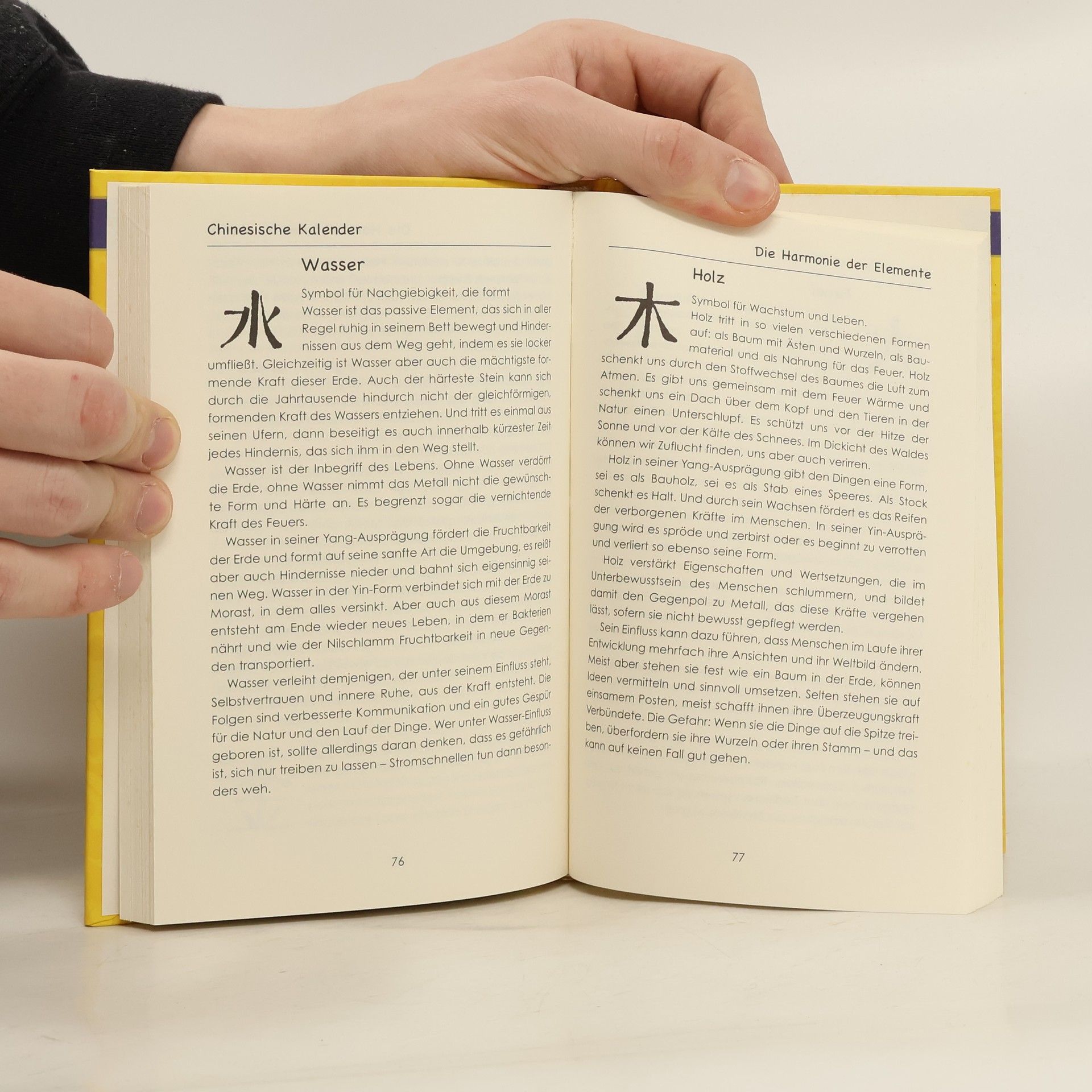 Chinesische Astrologie