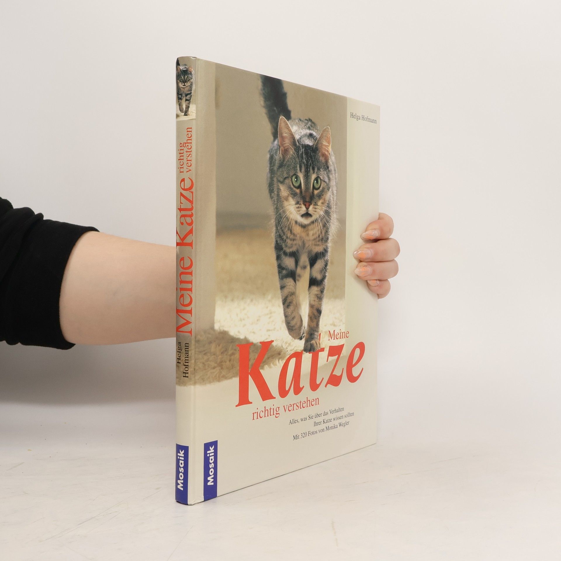 Helga Hofmann-Sieber Meine Katze richtig verstehen