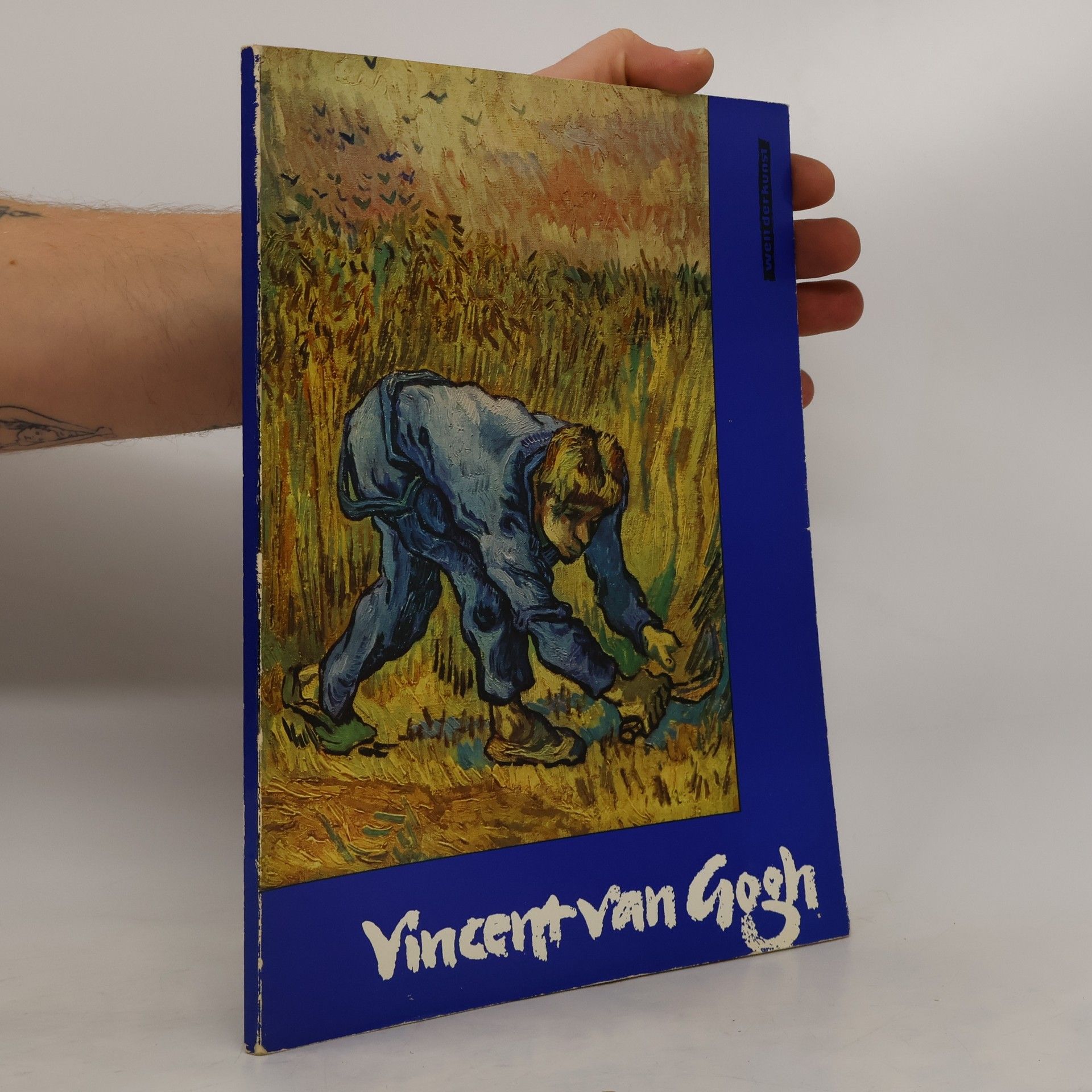 Autorenkollektiv Vicent van Gogh