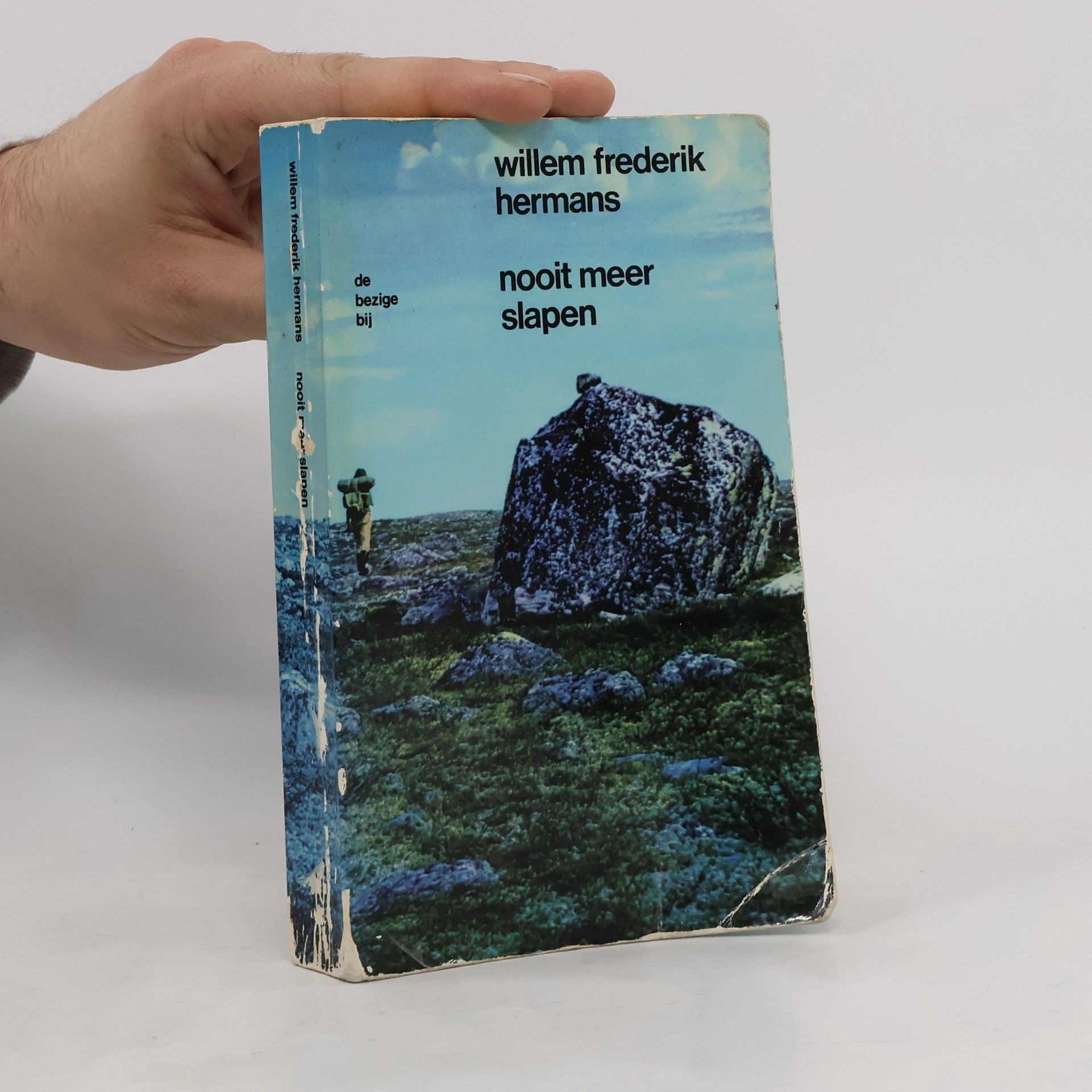 Willem Frederik Hermans Nooit meer slapen