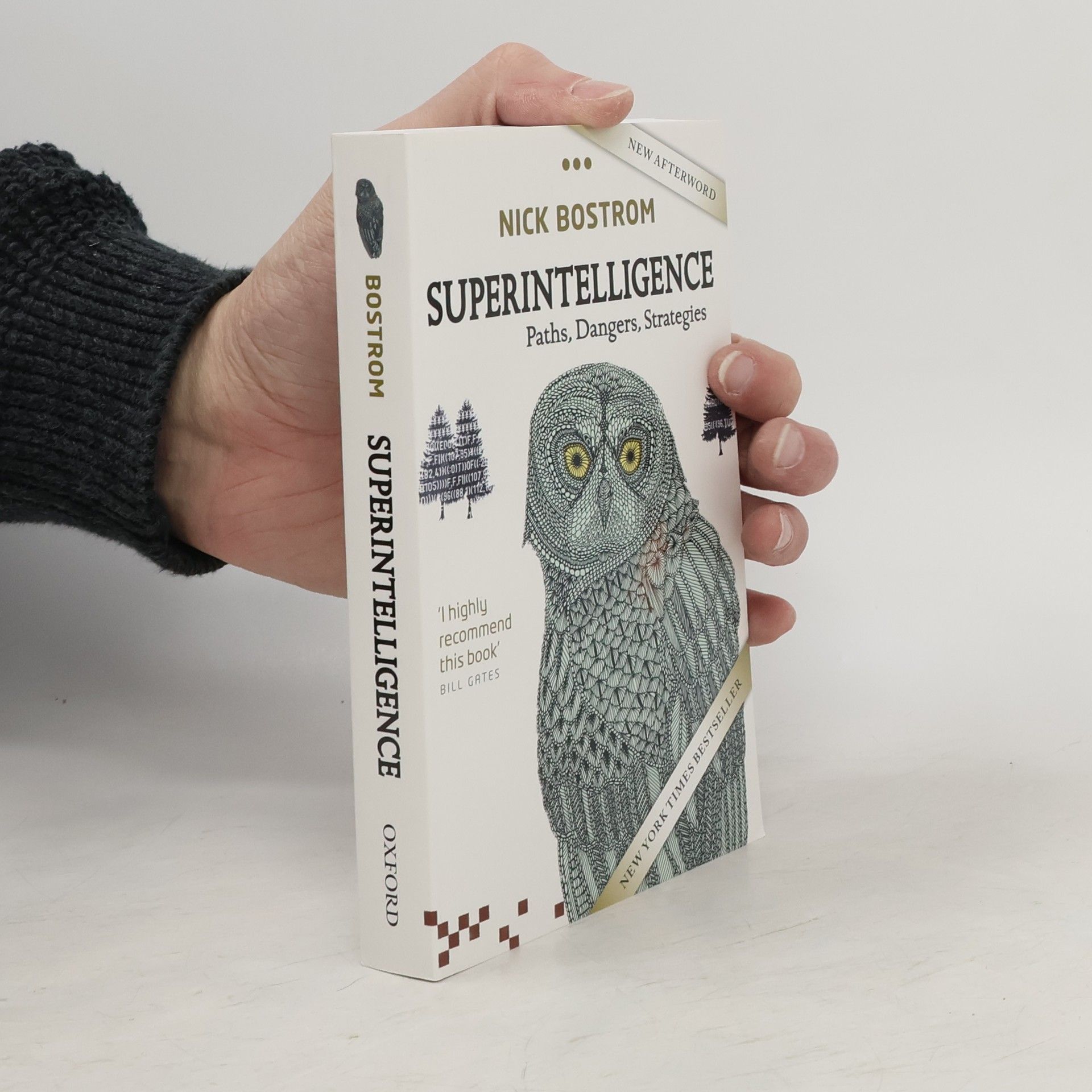 Nick Bostrom Superintelligence