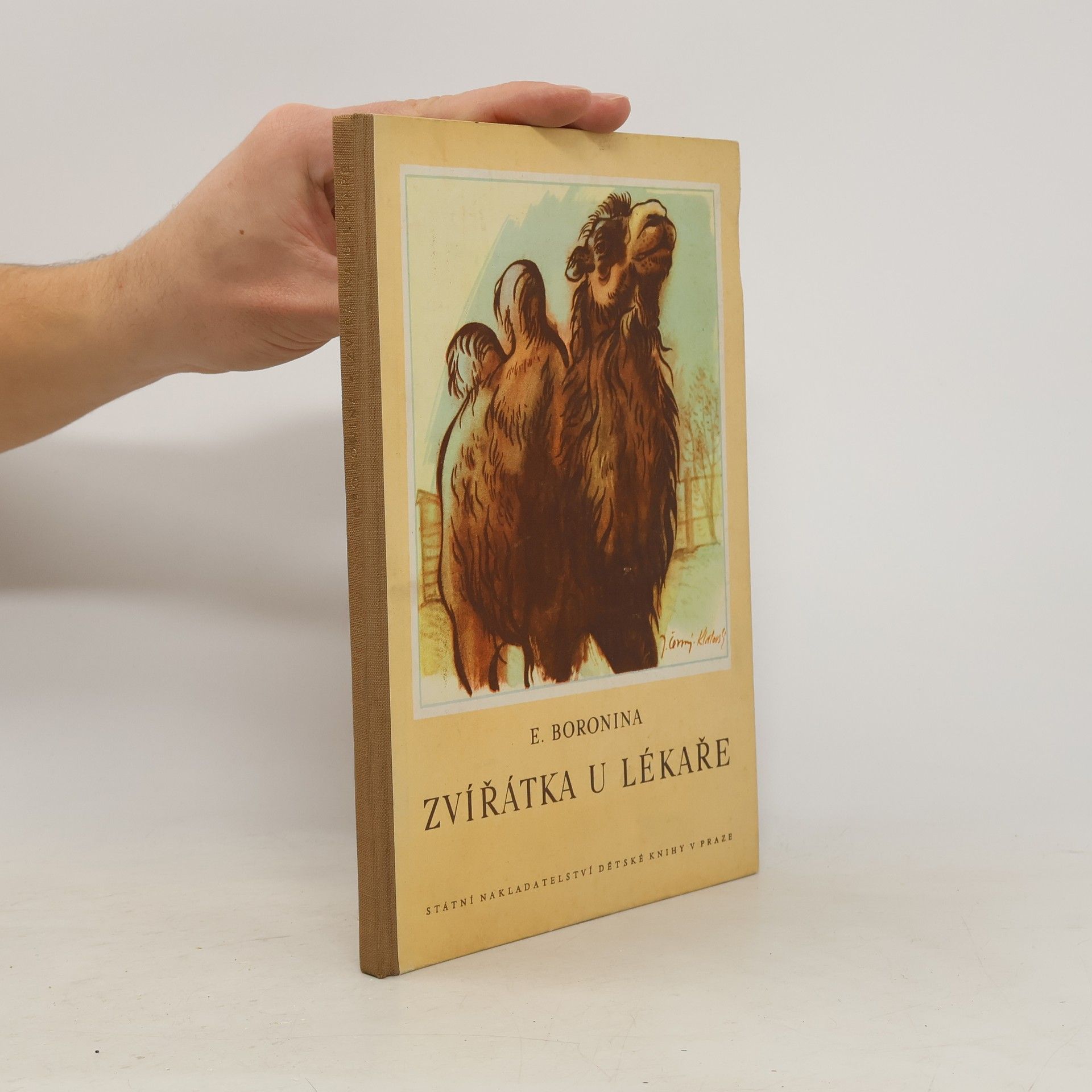 E. Boronina Zvířátka u lékaře