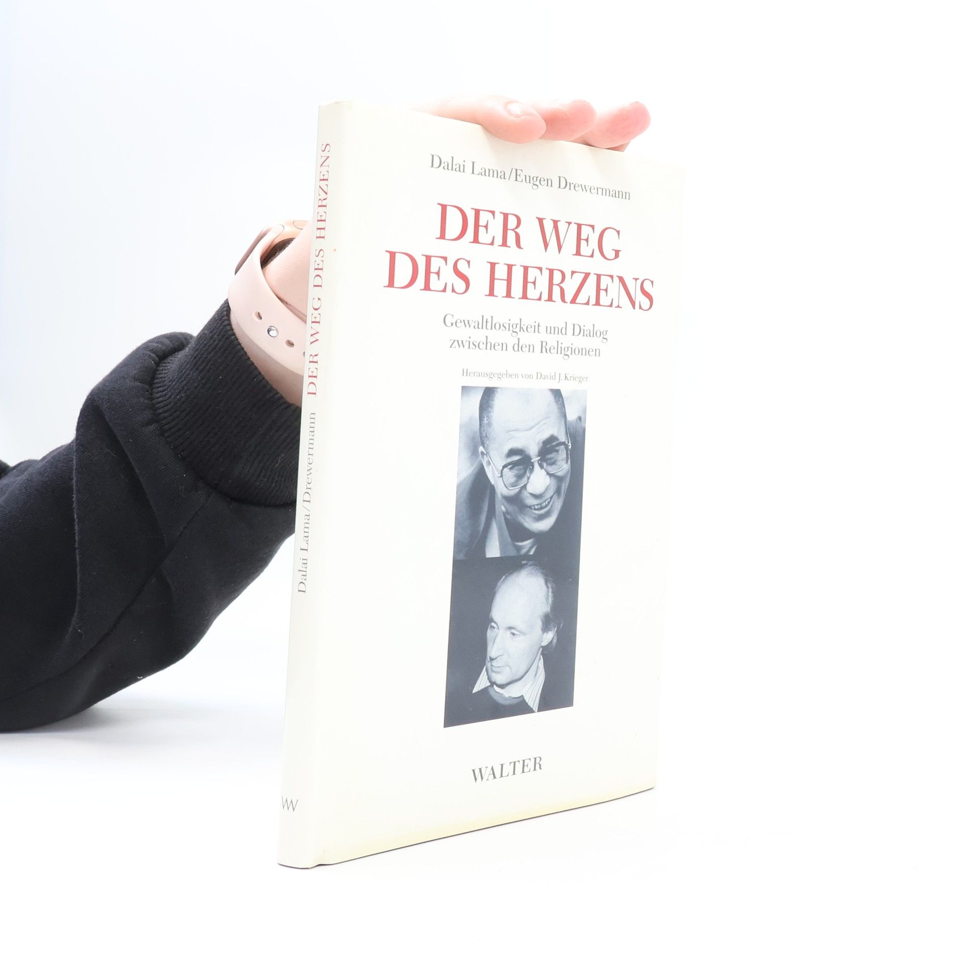 Bstan-vdzin-rgya-mtsho Der Weg des Herzens