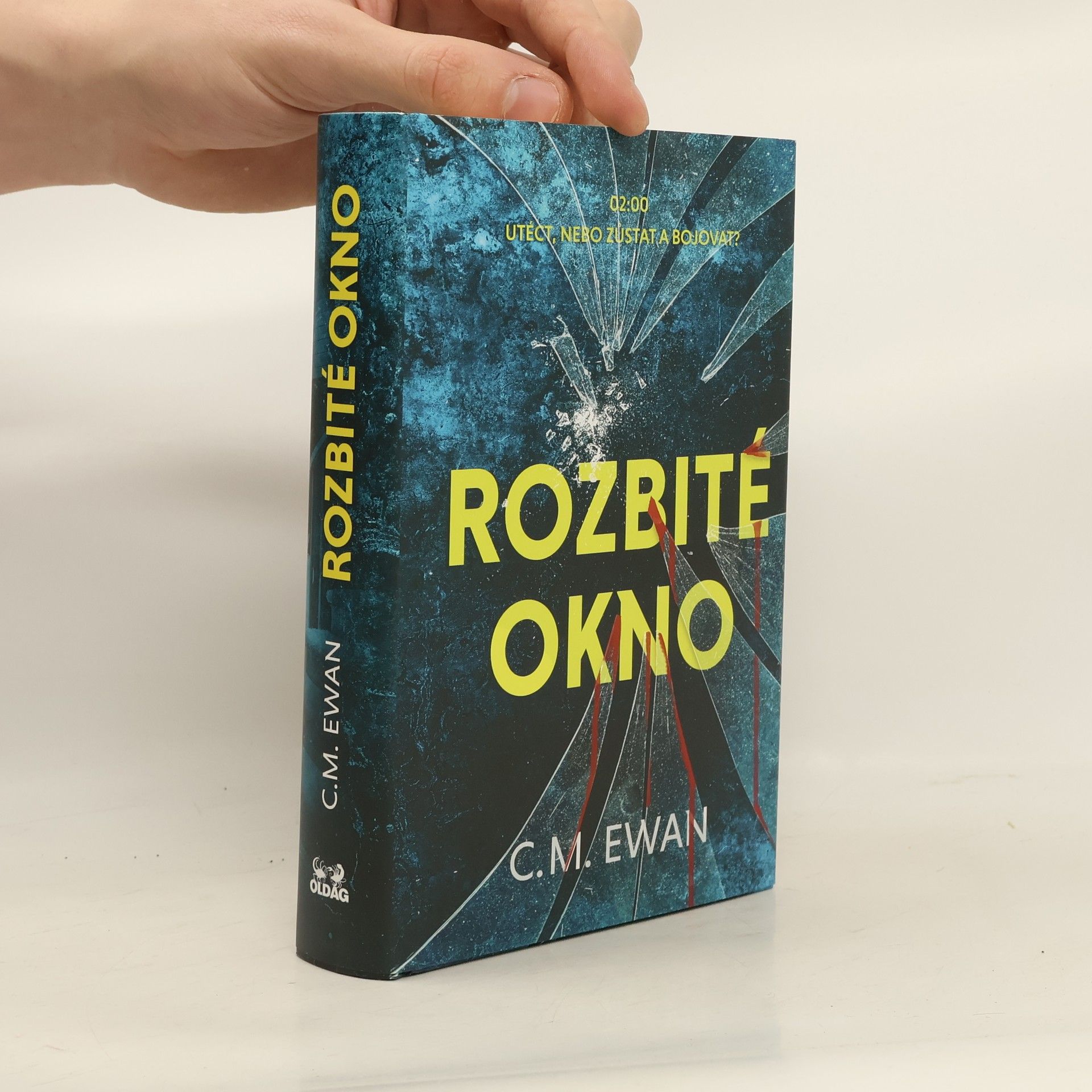Chris Ewan Rozbité okno