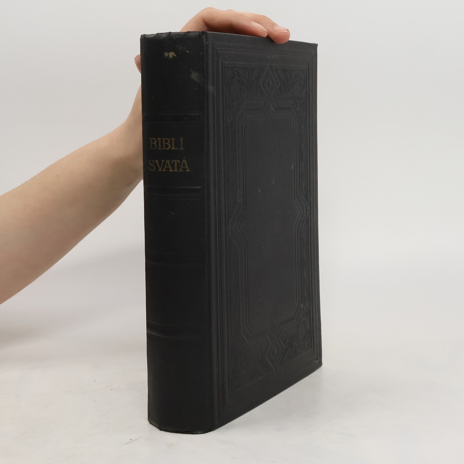 Autorenkollektiv Biblí svatá, to jest. Svatá písma Starého i Nového zákona