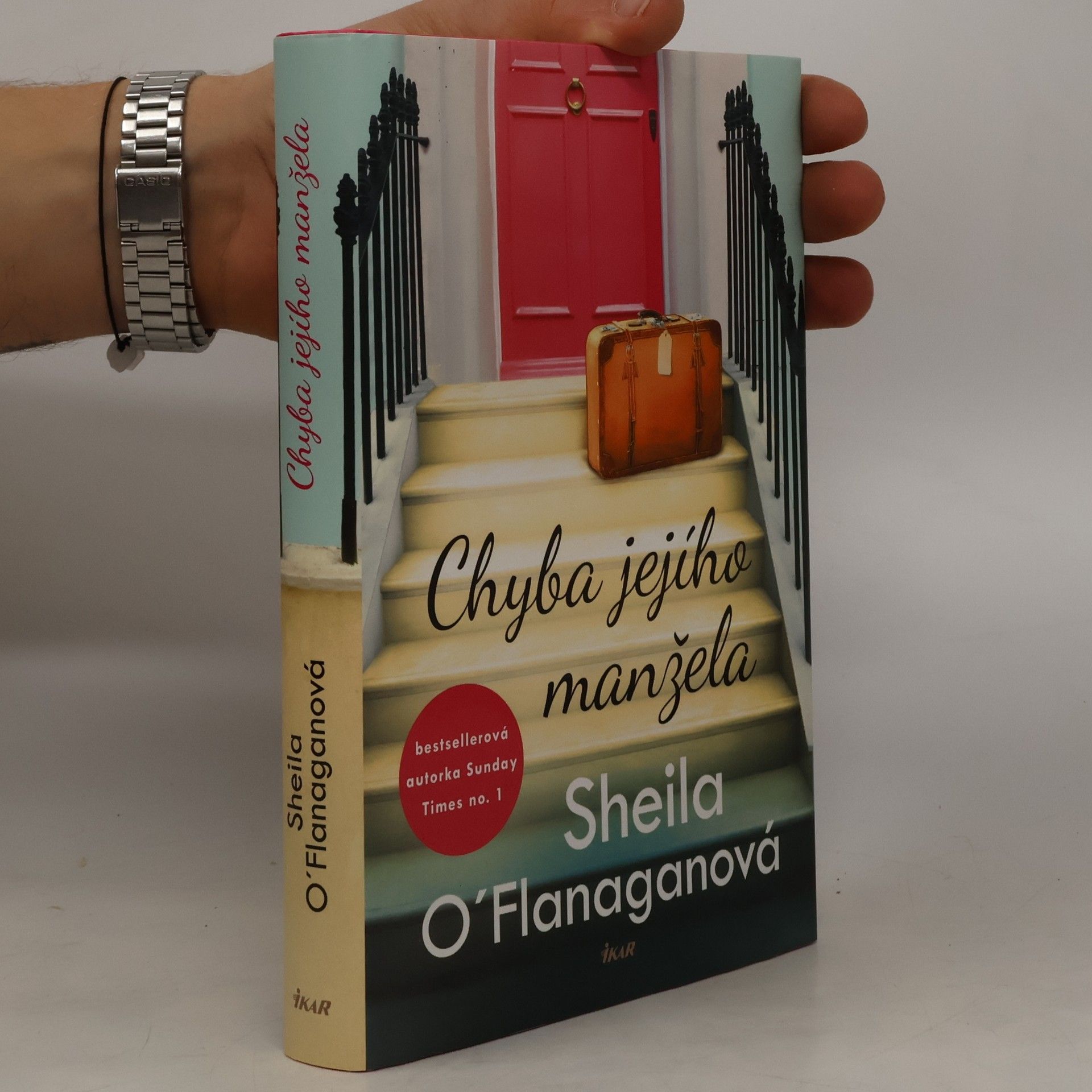 Sheila O'Flanagan Chyba jejího manžela