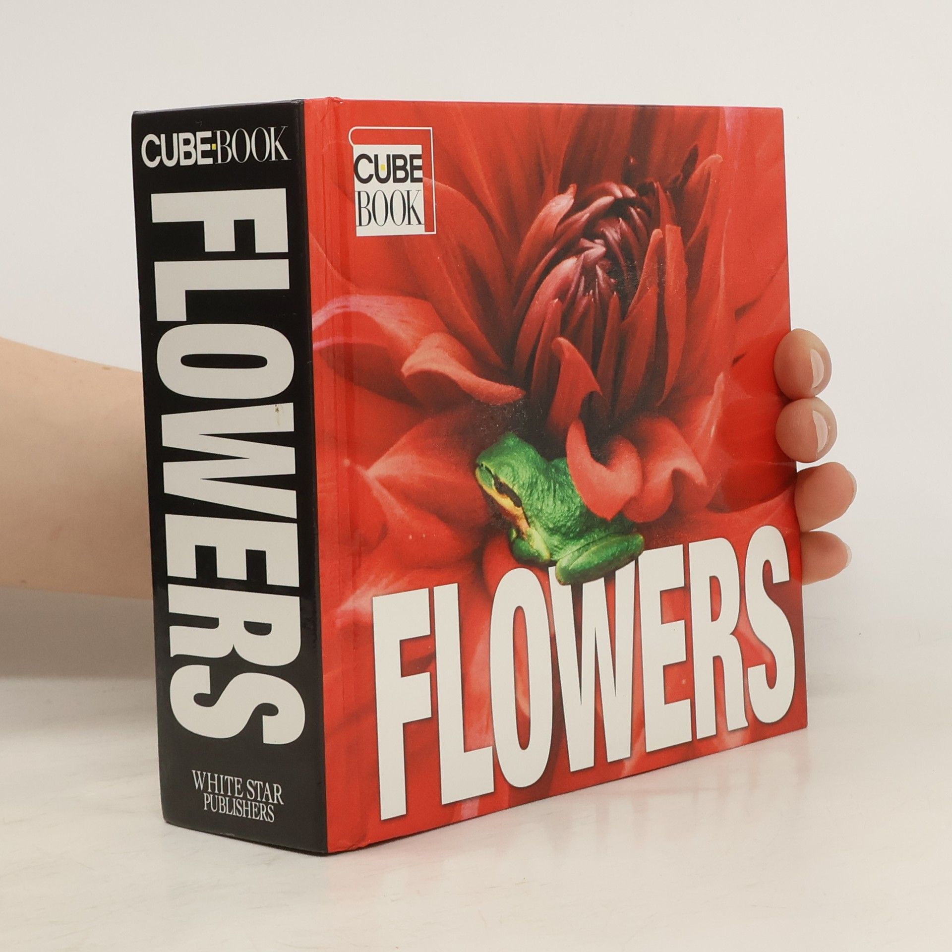 Valeria Manferto De Fabianis Flowers