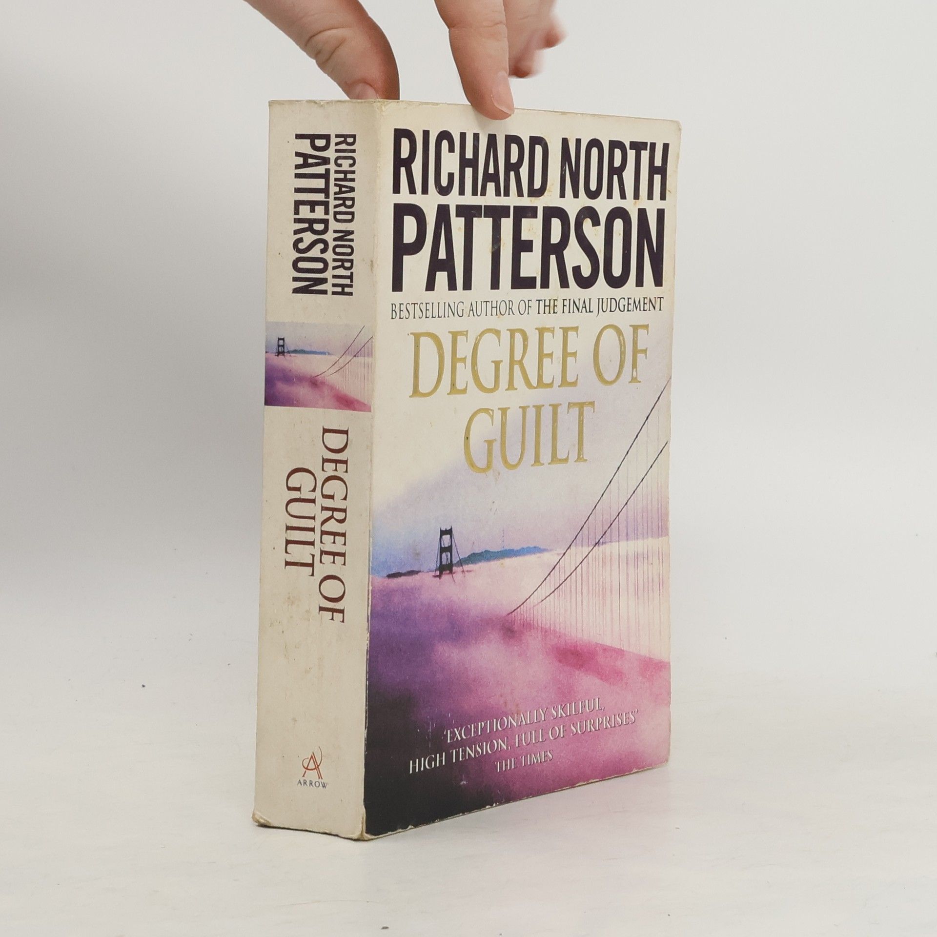 Richard North Patterson Degree of Guilt