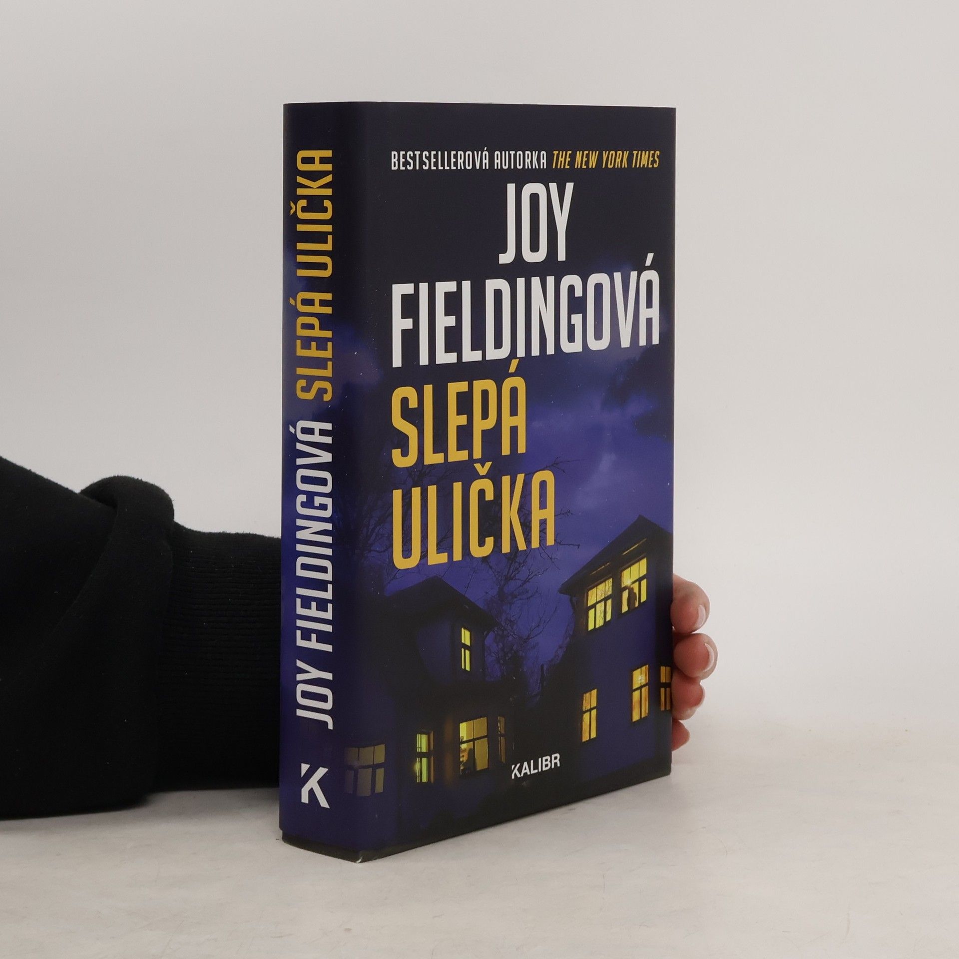 Joy Fielding Slepá ulička