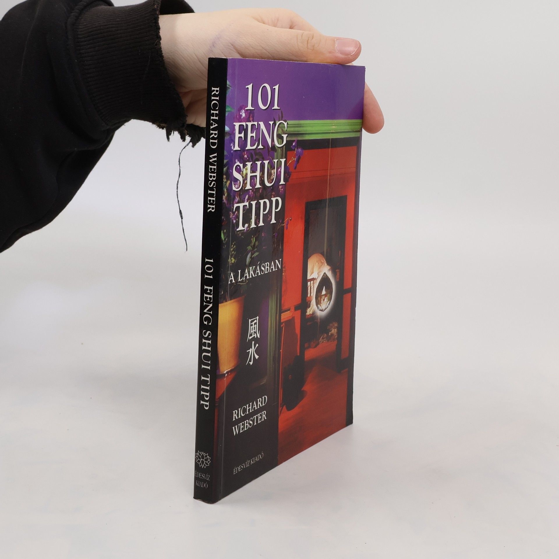 Auteurscollectief 101 Feng Shui Tipp