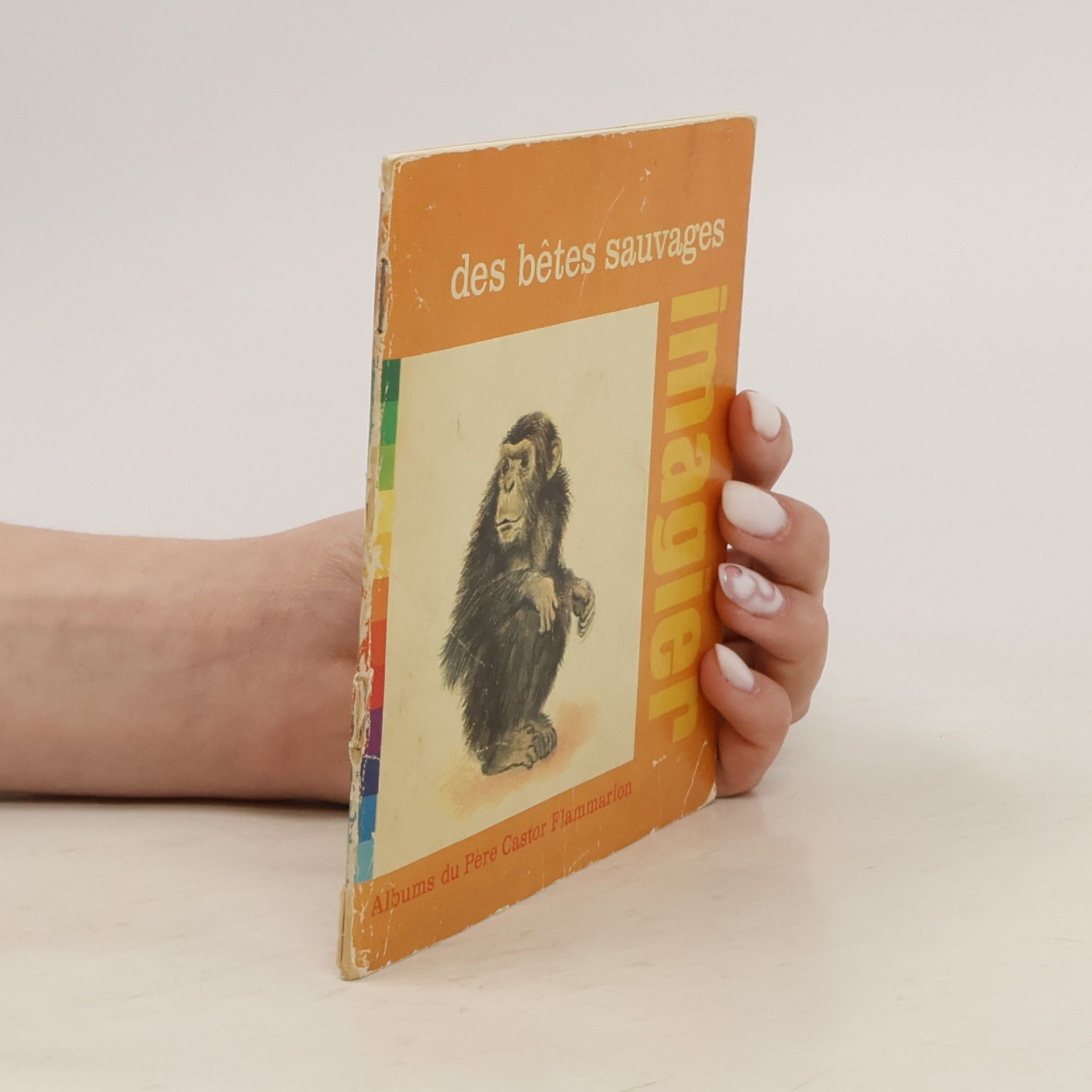 Collectif d'auteurs Des Bêtes Sauvages Imagier