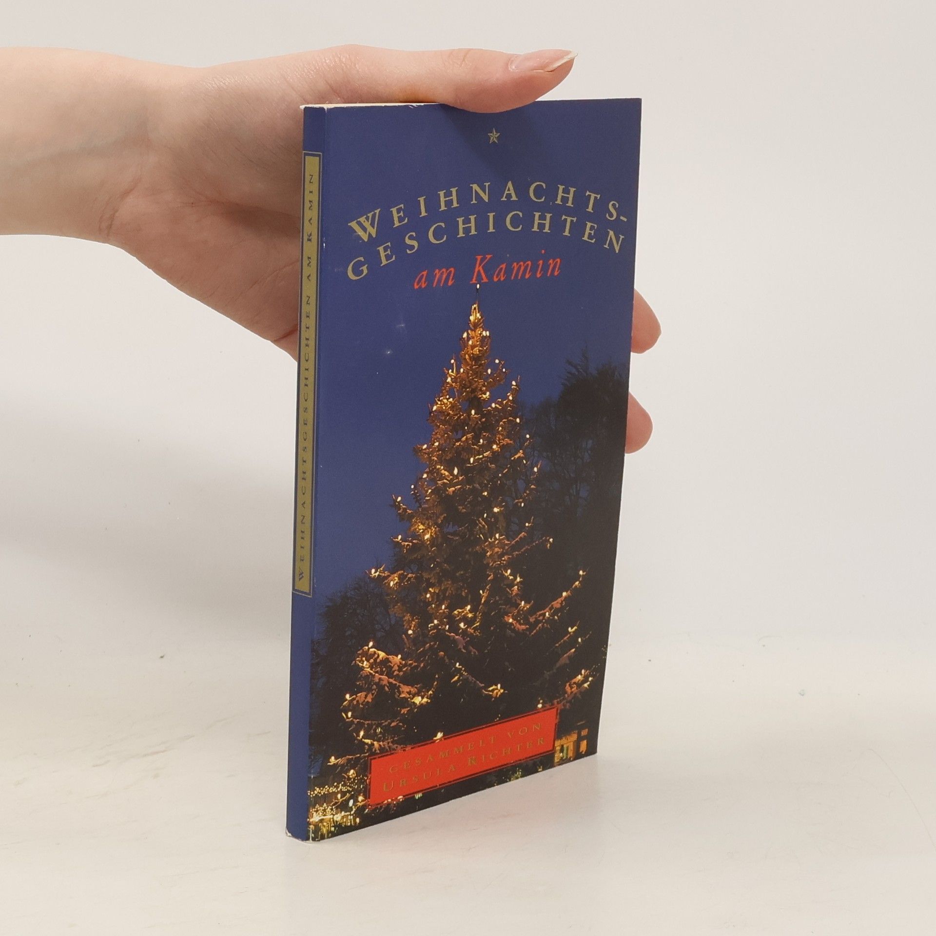 Collectif d'auteurs Weihnachtsgeschichten am Kamin