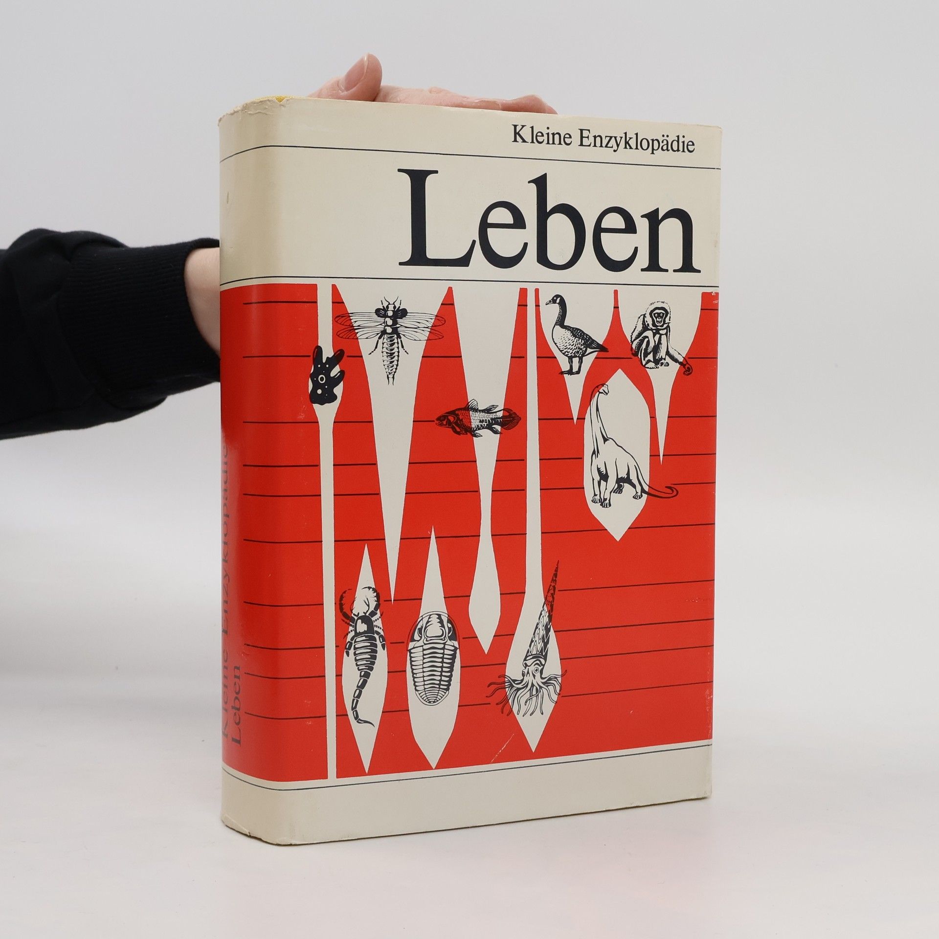 kolektiv Kleine Enzyklopädie Leben