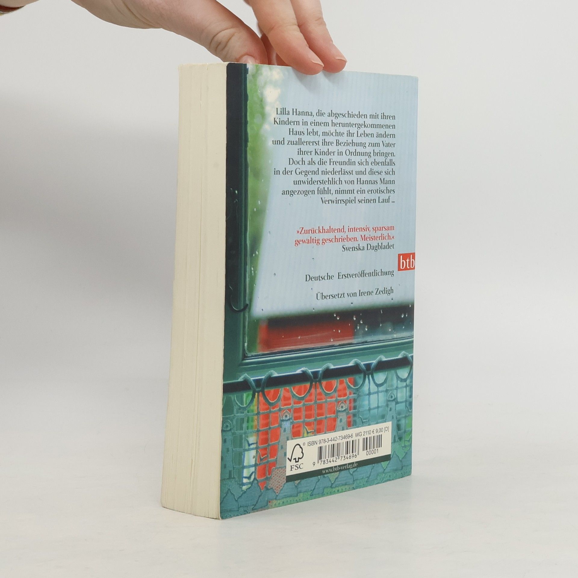 Birgitta Lillpers Dieses ganze Leben. Roman