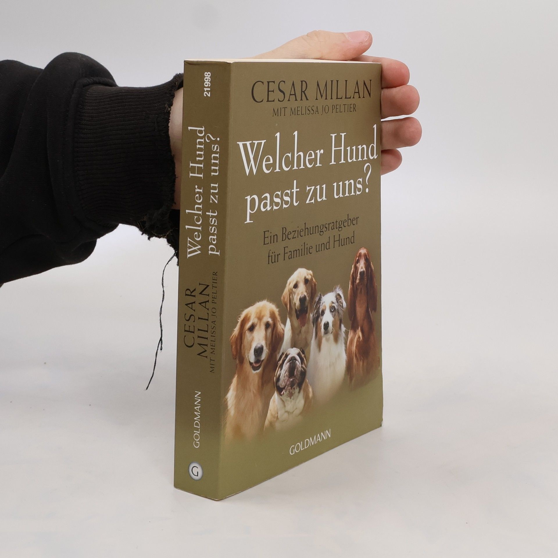 Cesar Millan Welcher Hund passt zu uns?