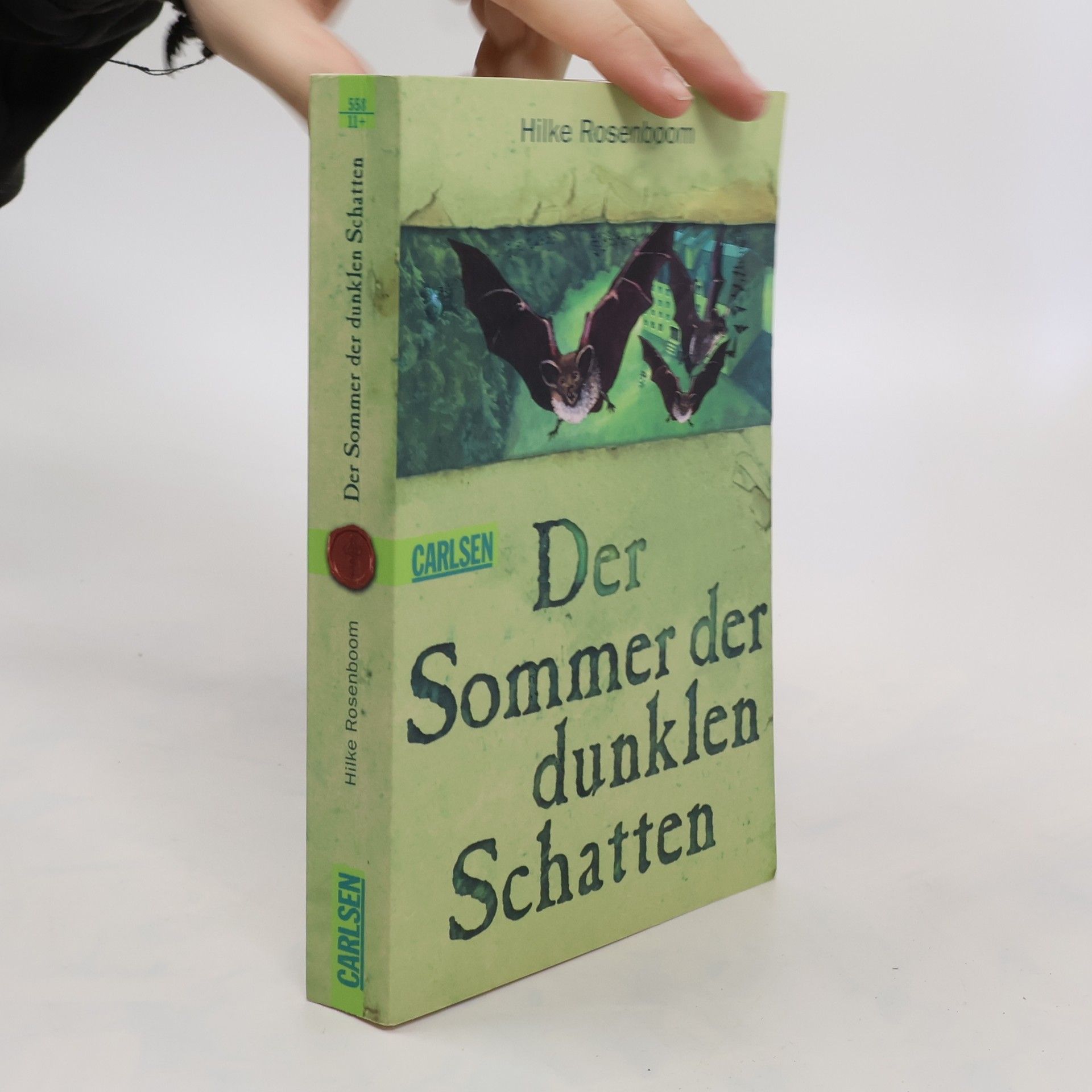 Hilke Rosenboom Der Sommer der dunklen Schatten