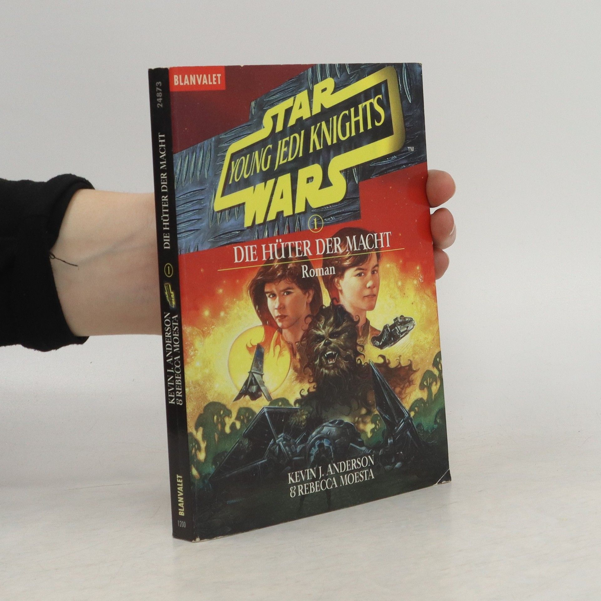 Kevin J. Anderson Star wars. Young Jedi knights. Die Hüter der Macht