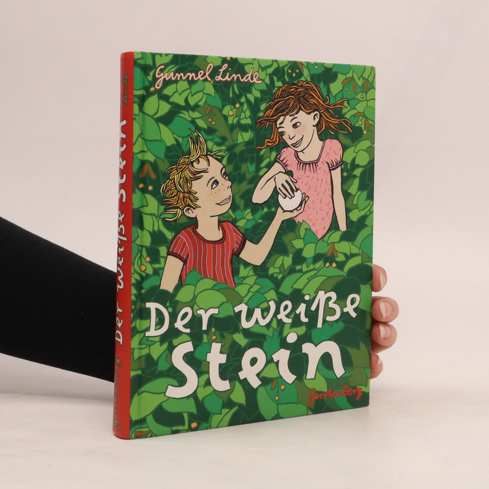 Gunnel Linde Der weiße Stein