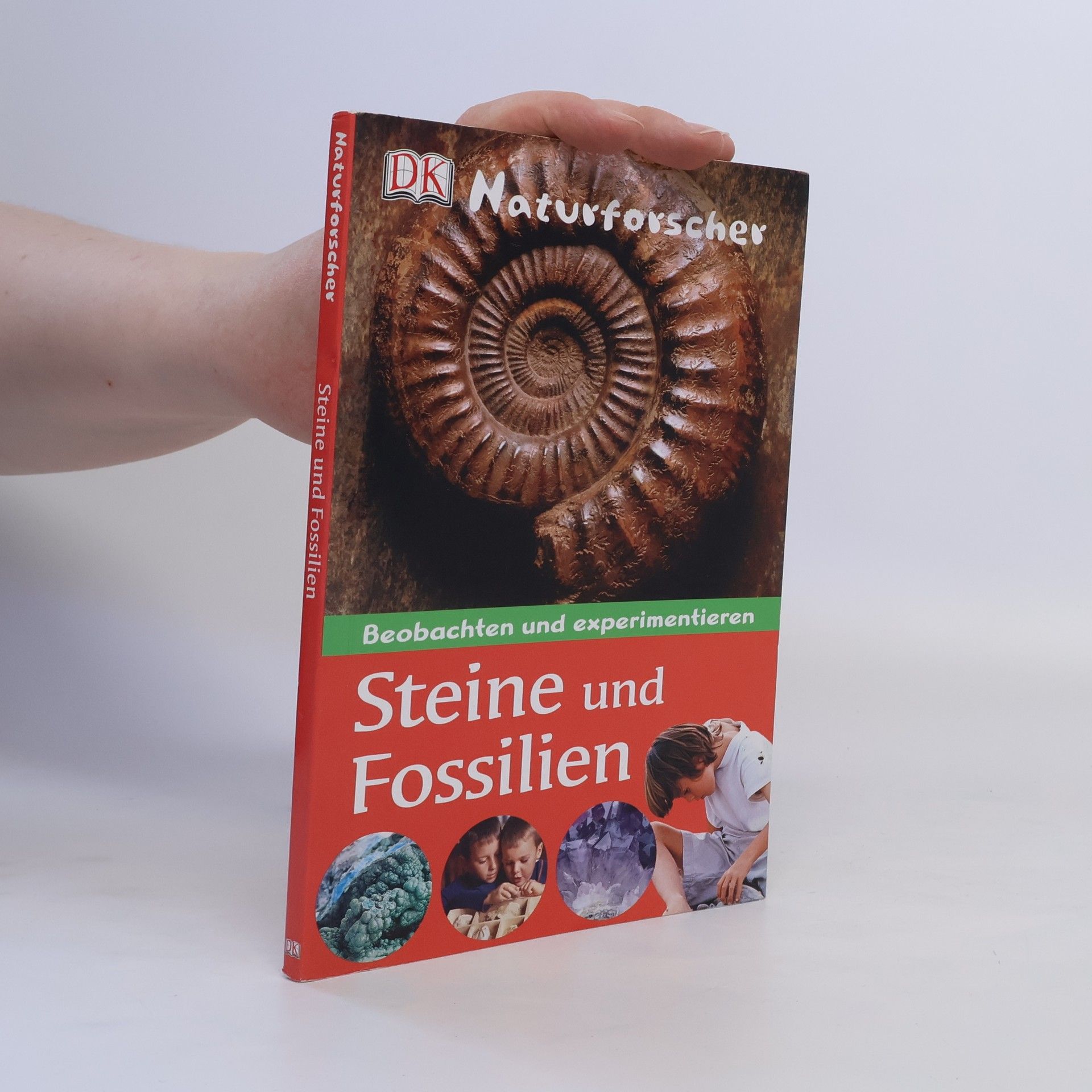 Ben Morgan Steine und Fossilien