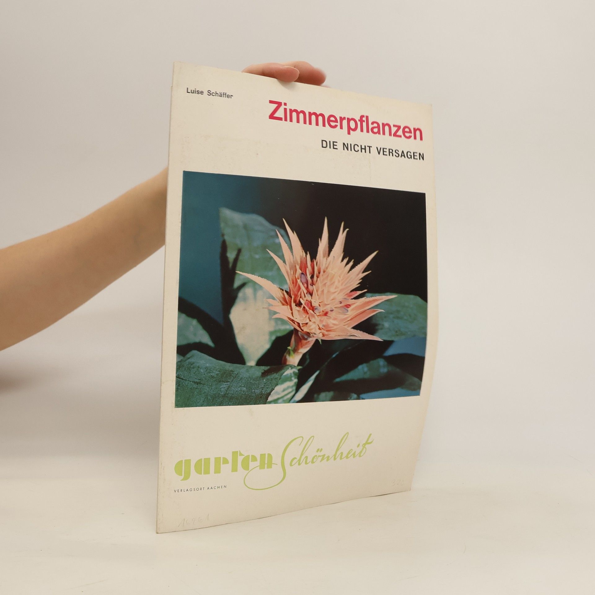 Luise Shäffer Zimmerpflanzen
