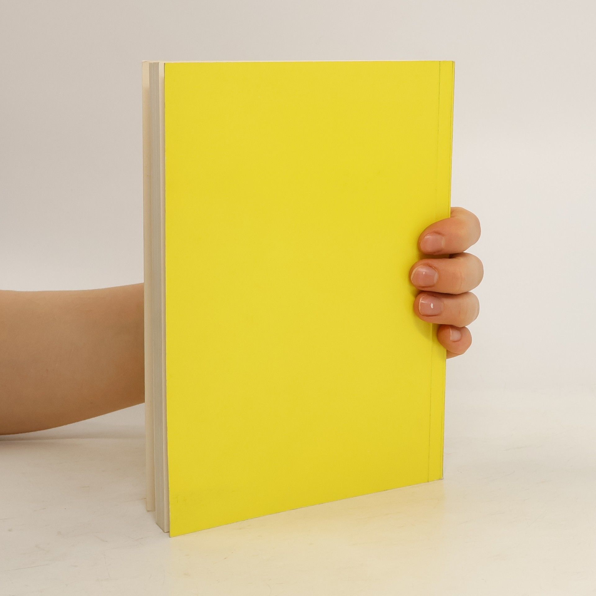 kolektiv Handbuch des Münchner Bürgers