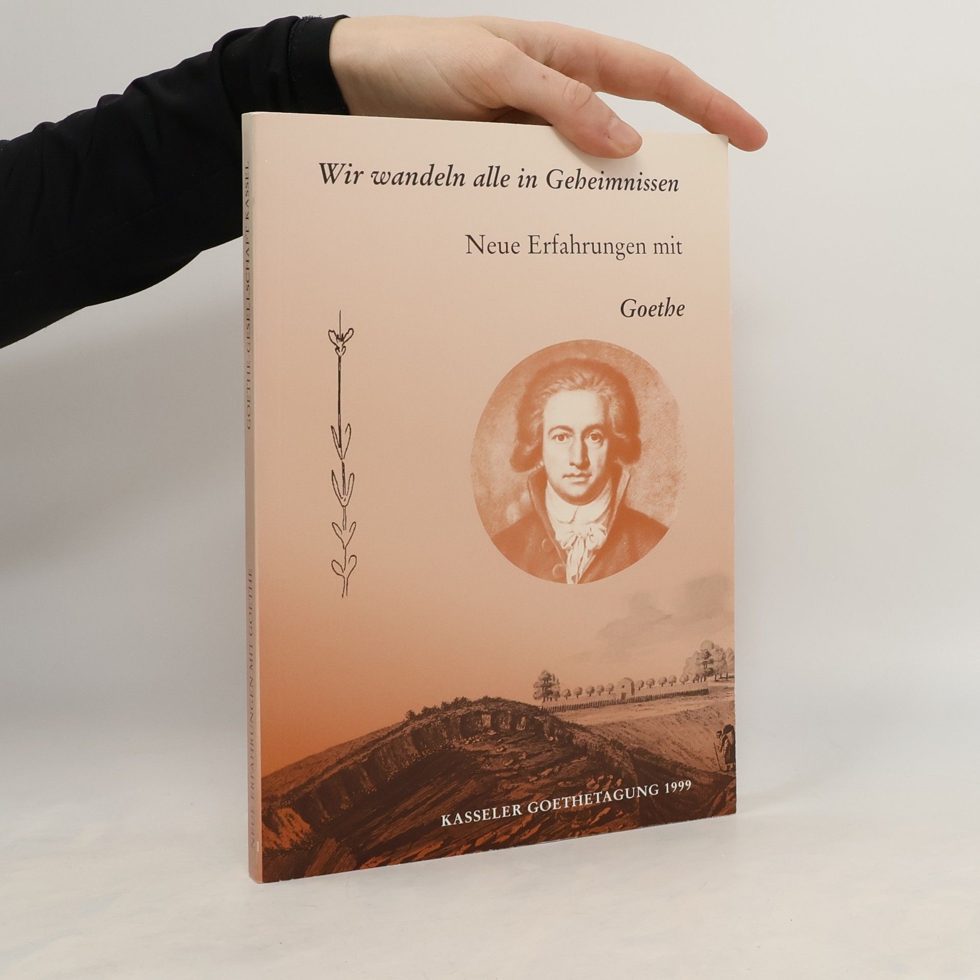 Autorenkollektiv Wir wandeln alle in Geheimnissen. Neue Erfahrungen mit Goethe