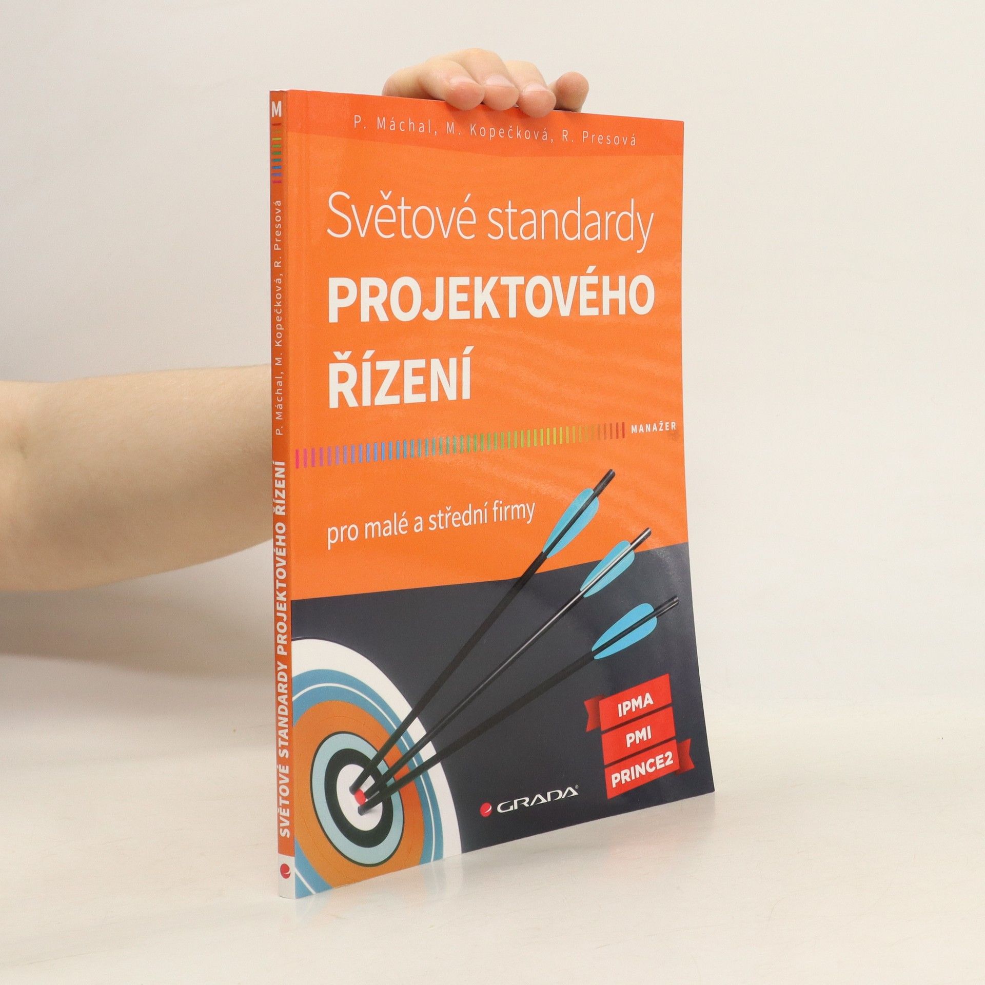 Pavel Máchal Světové standardy projektového řízení