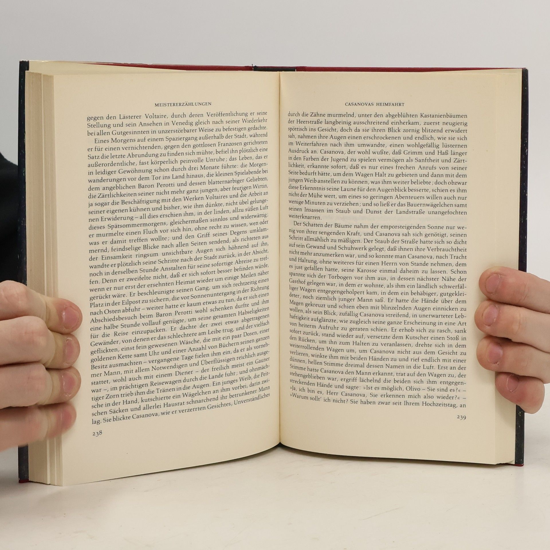 Arthur Schnitzler Meister-Erzählungen