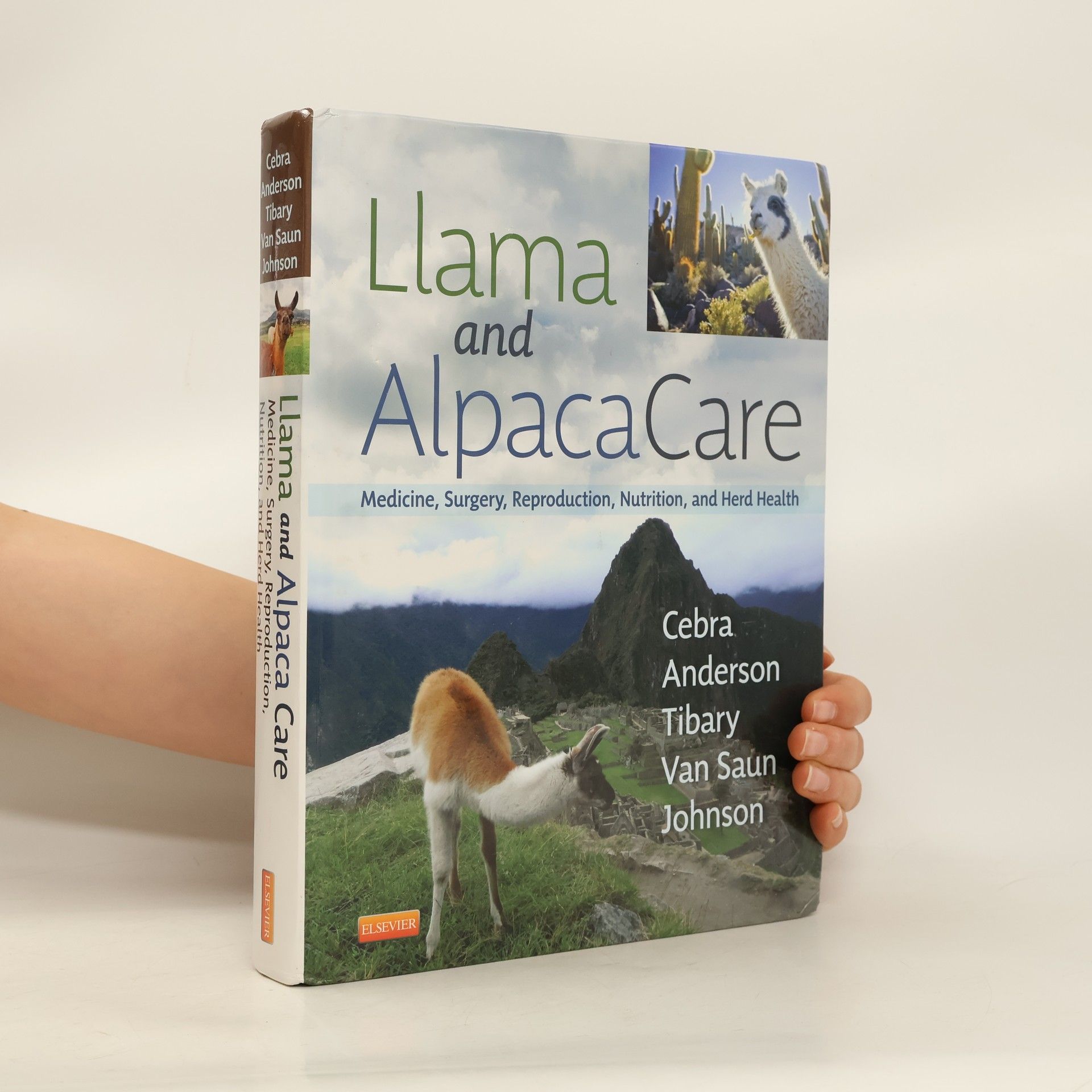 Autorenkollektiv Llama and Alpaca Care