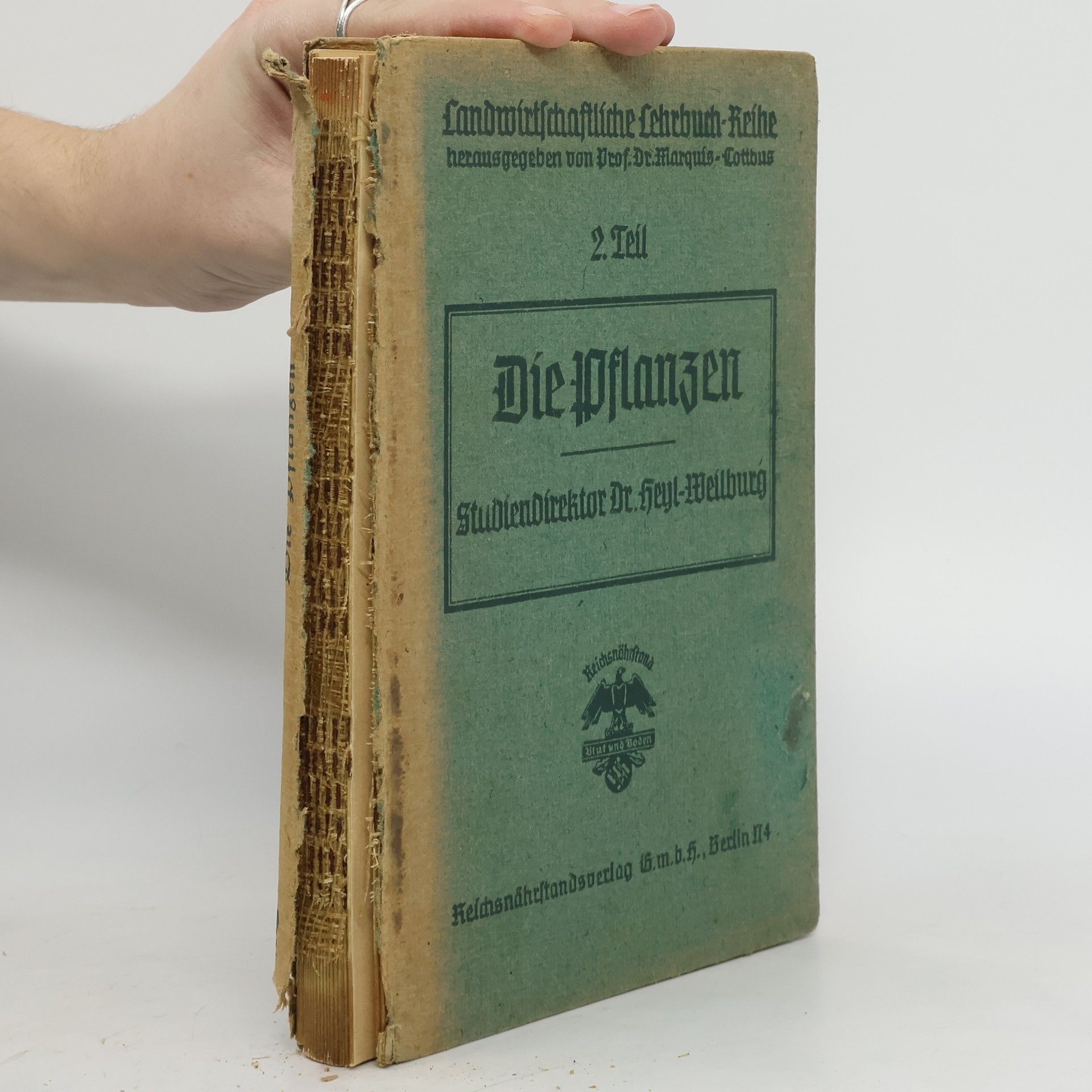 Collectif d'auteurs Die Pflanzen 2