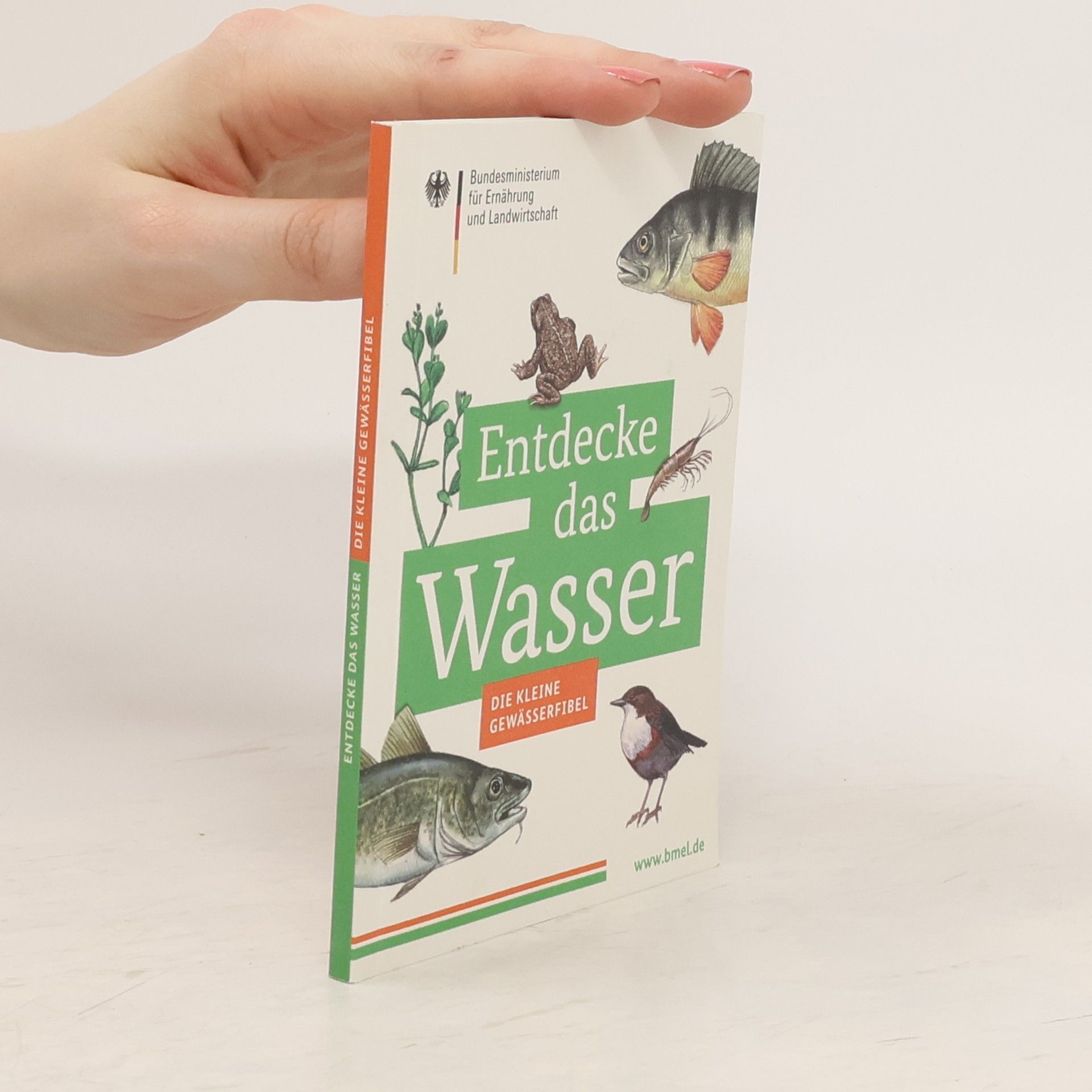 Collectif d'auteurs Entdecke das Wasser